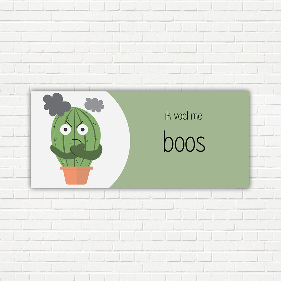 Cactus - Gevoelsmeterpakket 