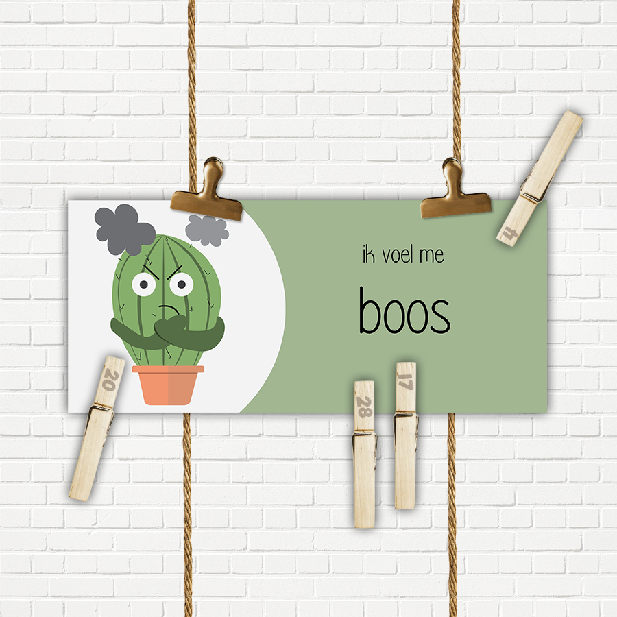 Cactus - Gevoelsmeterpakket 