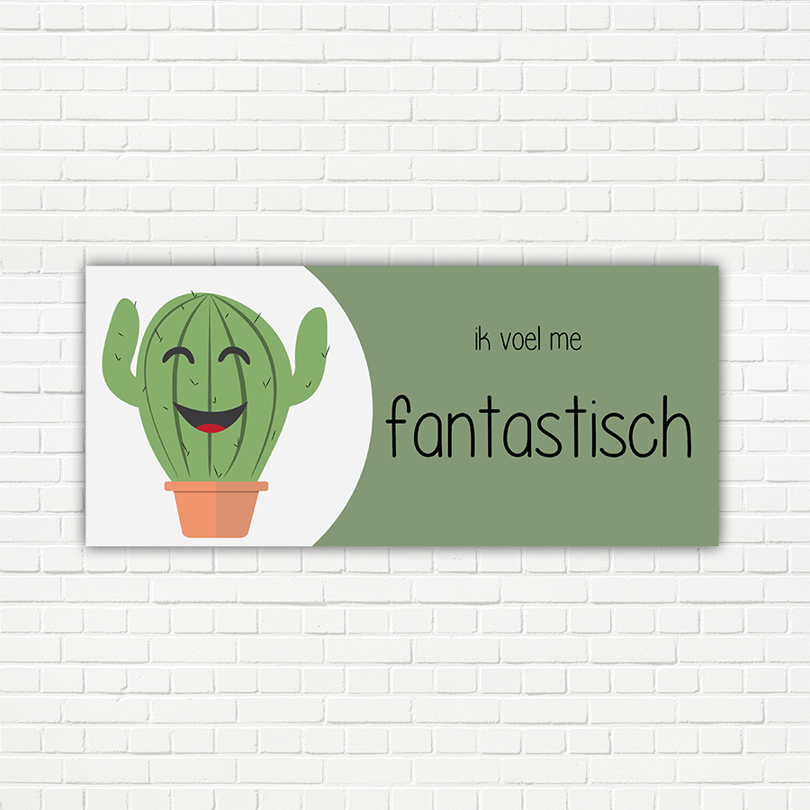 Cactus - Gevoelsmeterpakket 