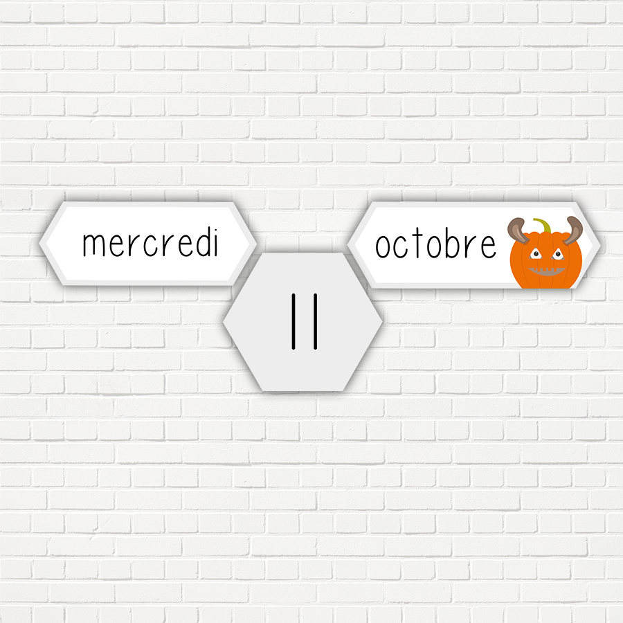 Lama - Maandkaarten Transparant