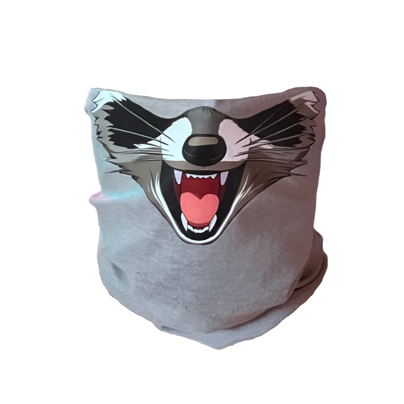Raccoon Mask