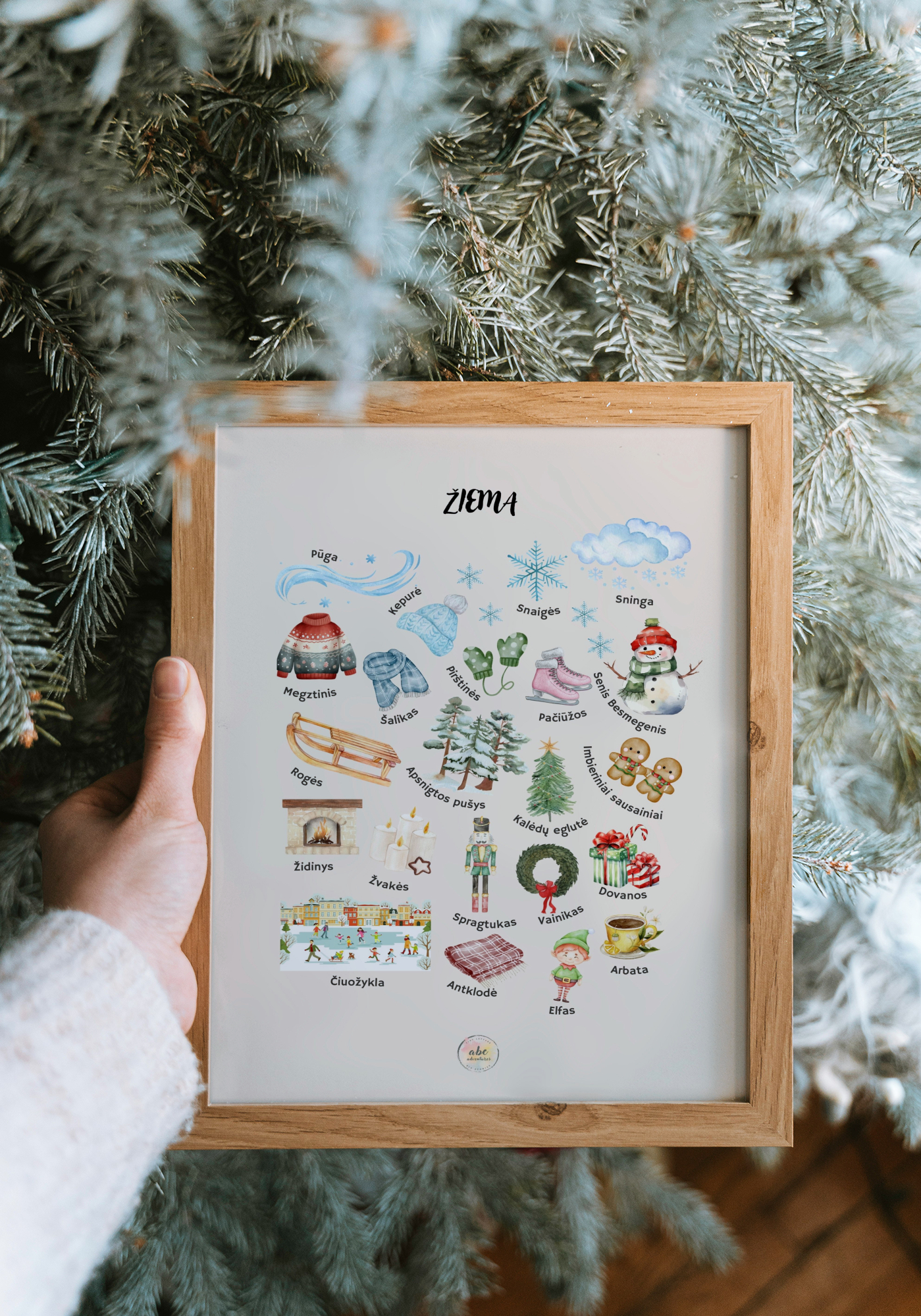 Žiema (metų laikai)