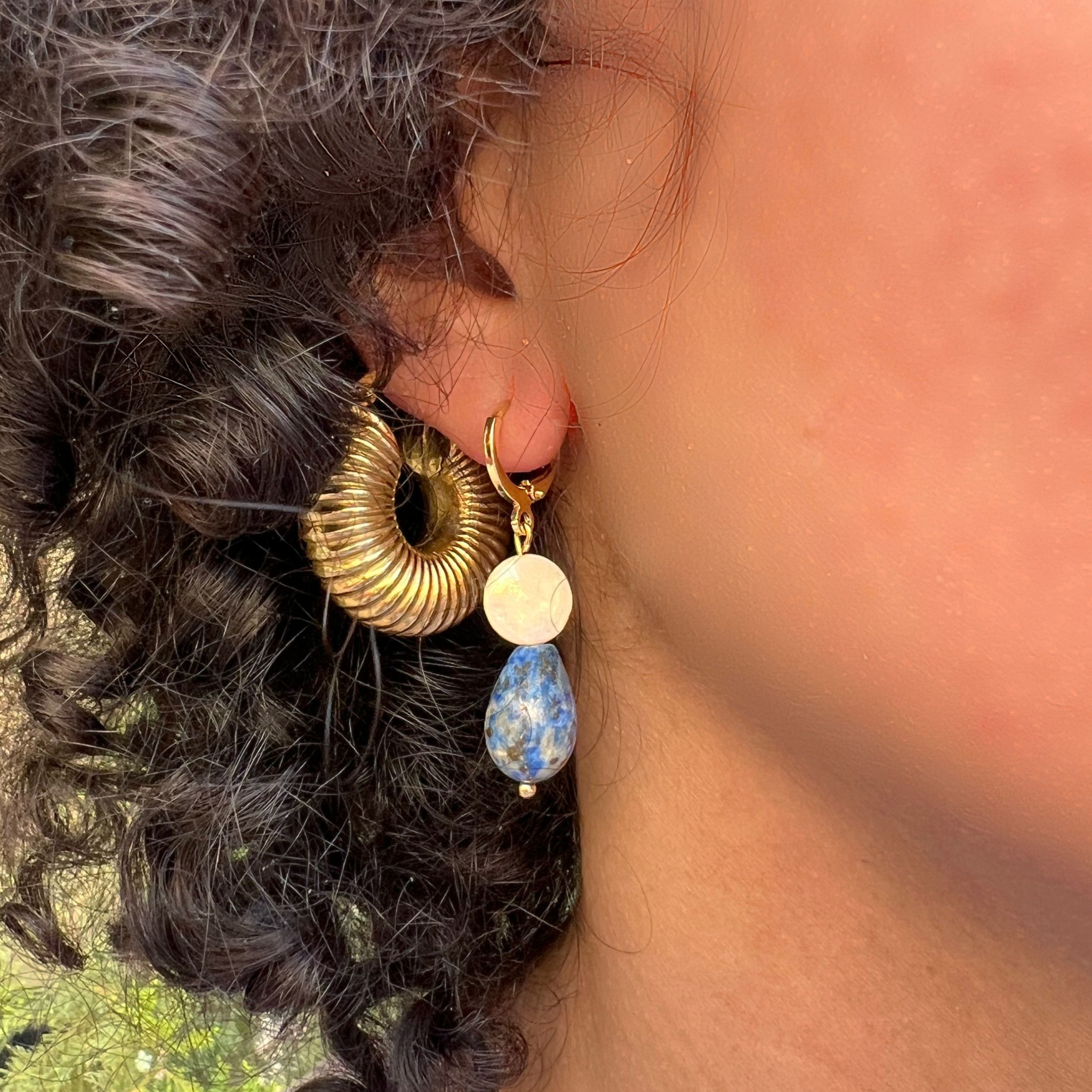 Earth Earrings