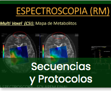Curso de Espectroscopía en RM de Cerebro