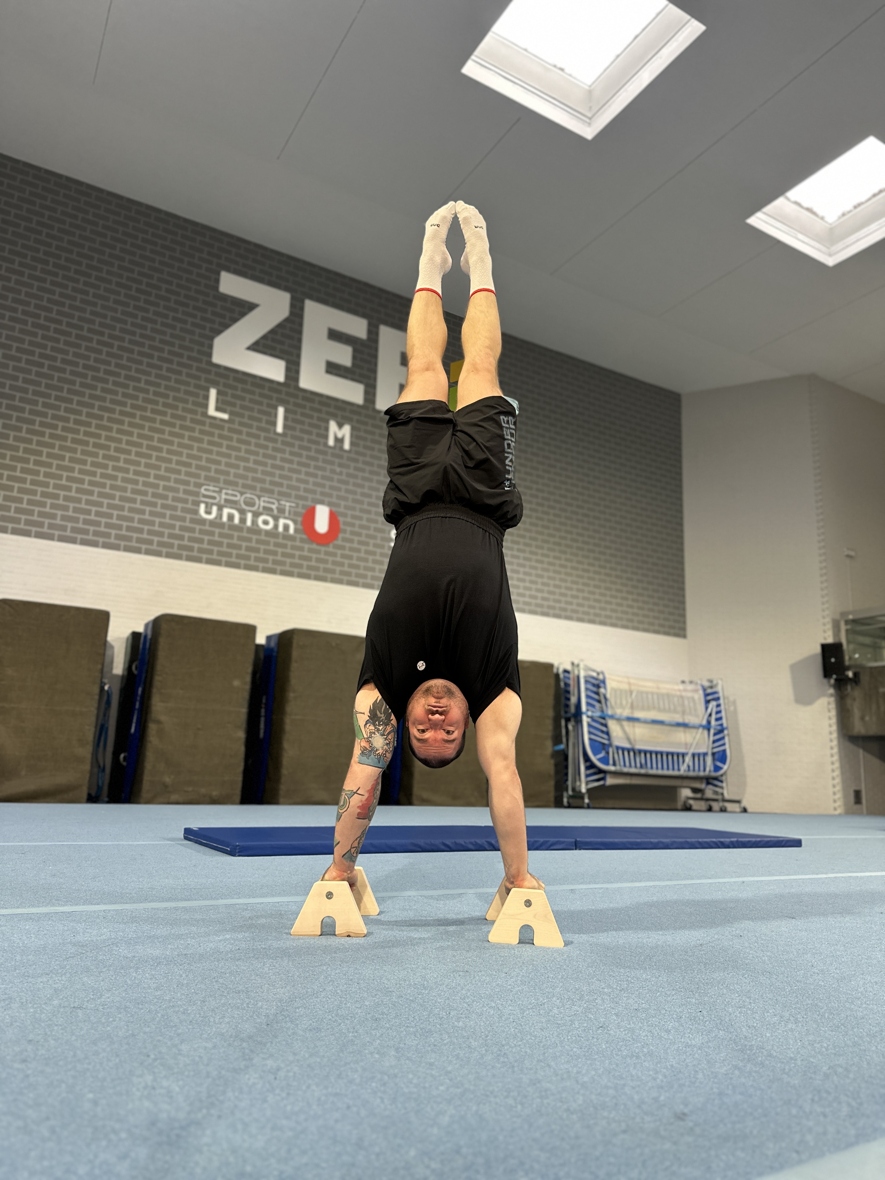 A-LIGN Parallettes Ahorn