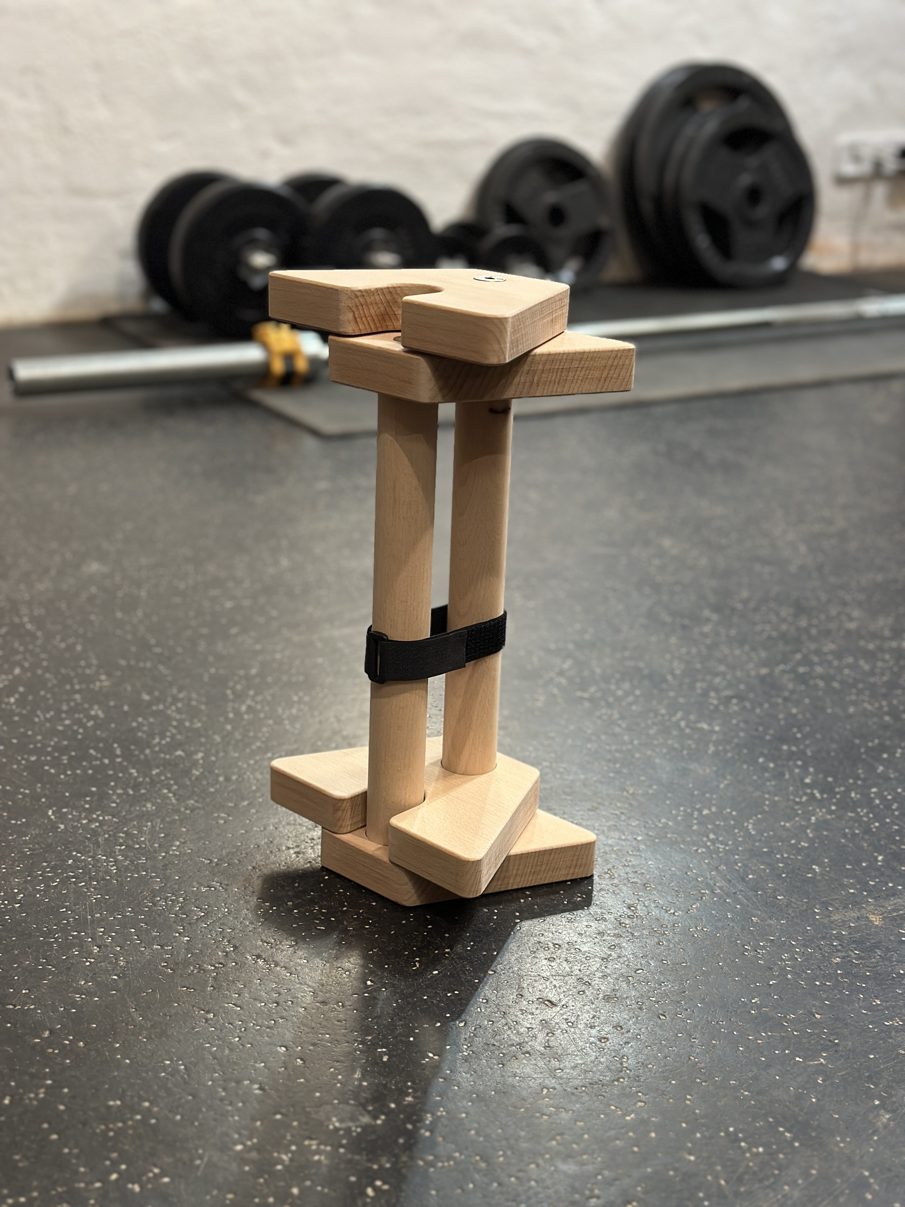 A-LIGN Parallettes Buche