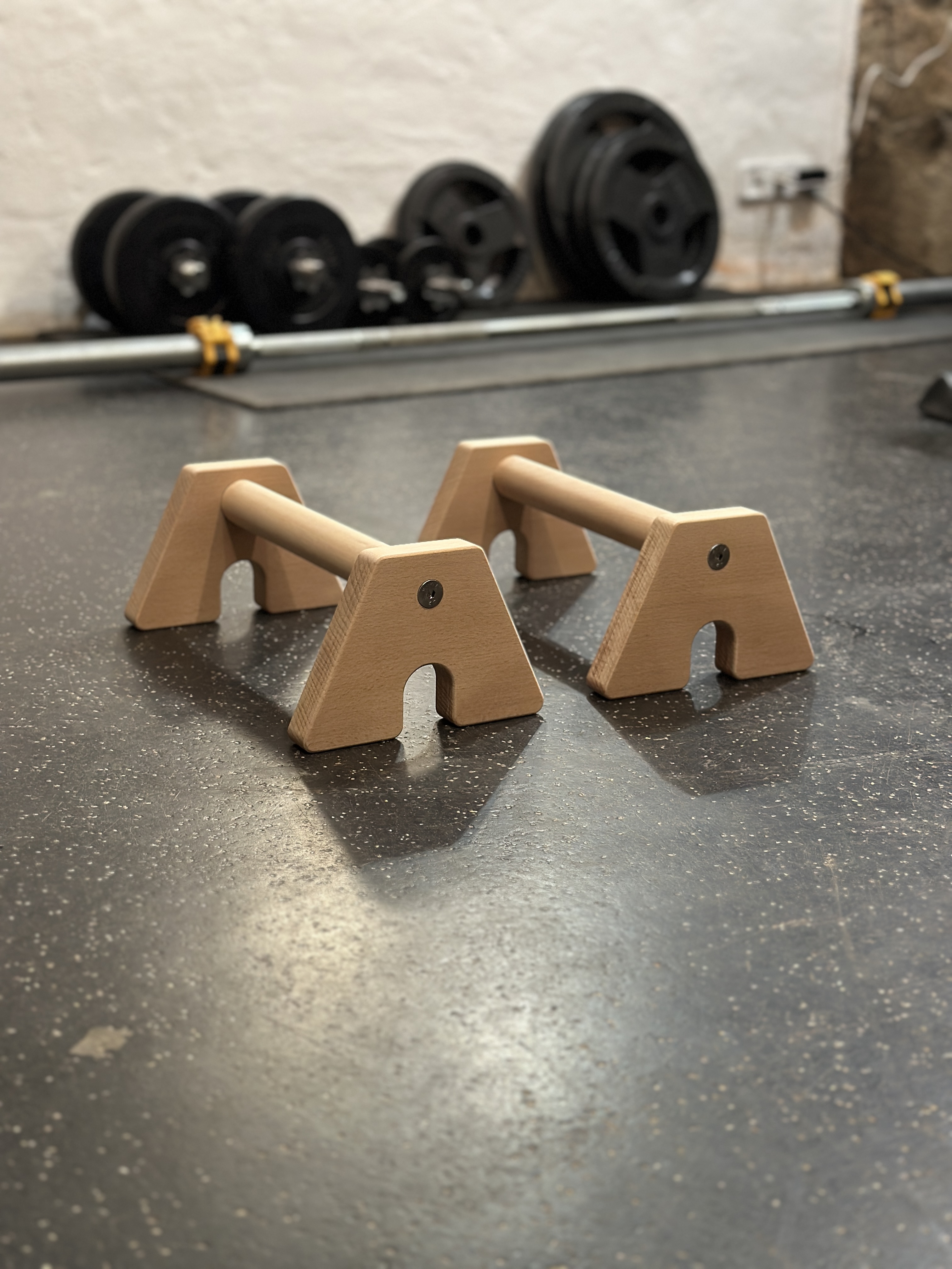 A-LIGN Parallettes Buche