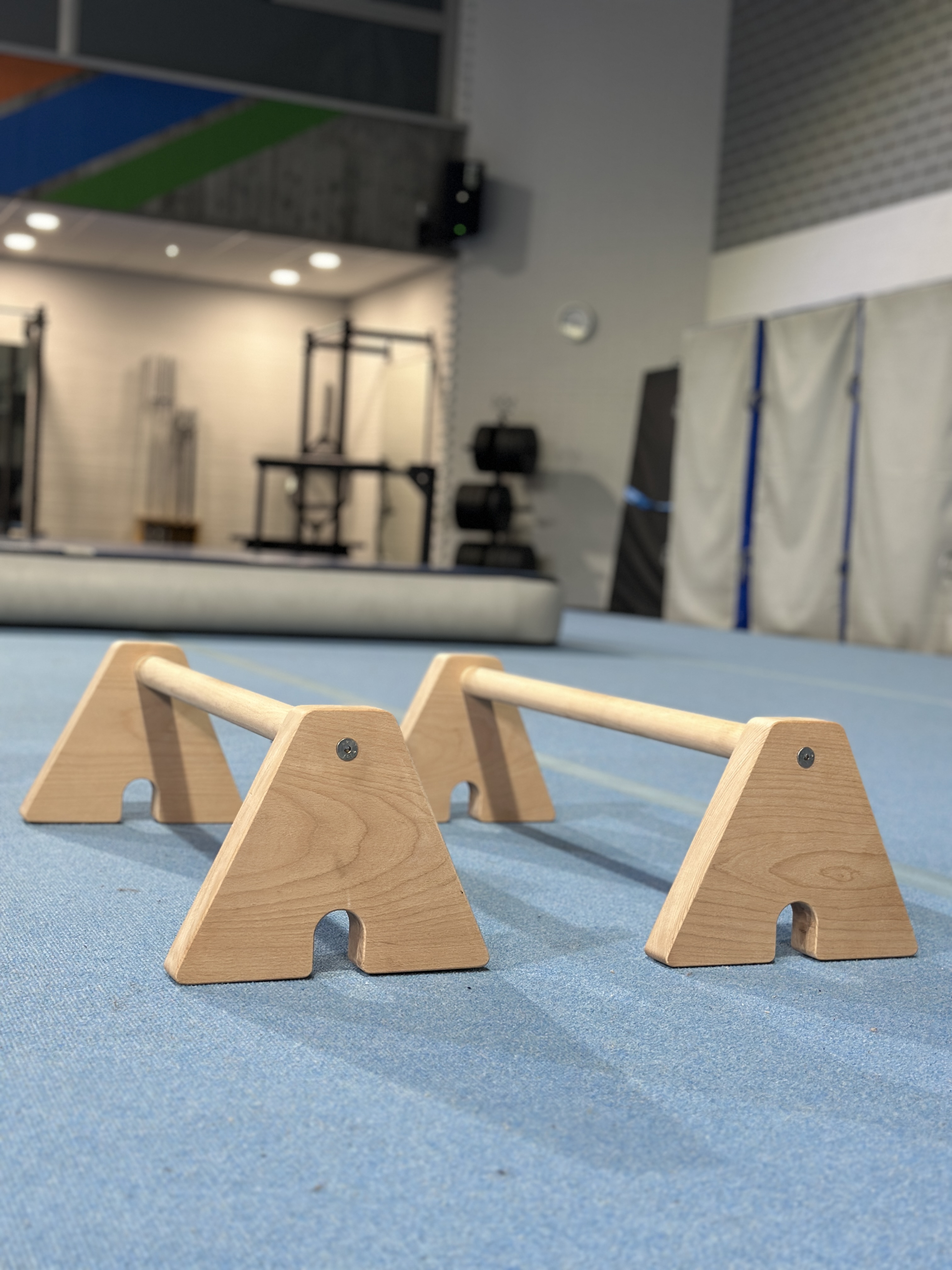 A-LIGN PRO Parallettes Buche