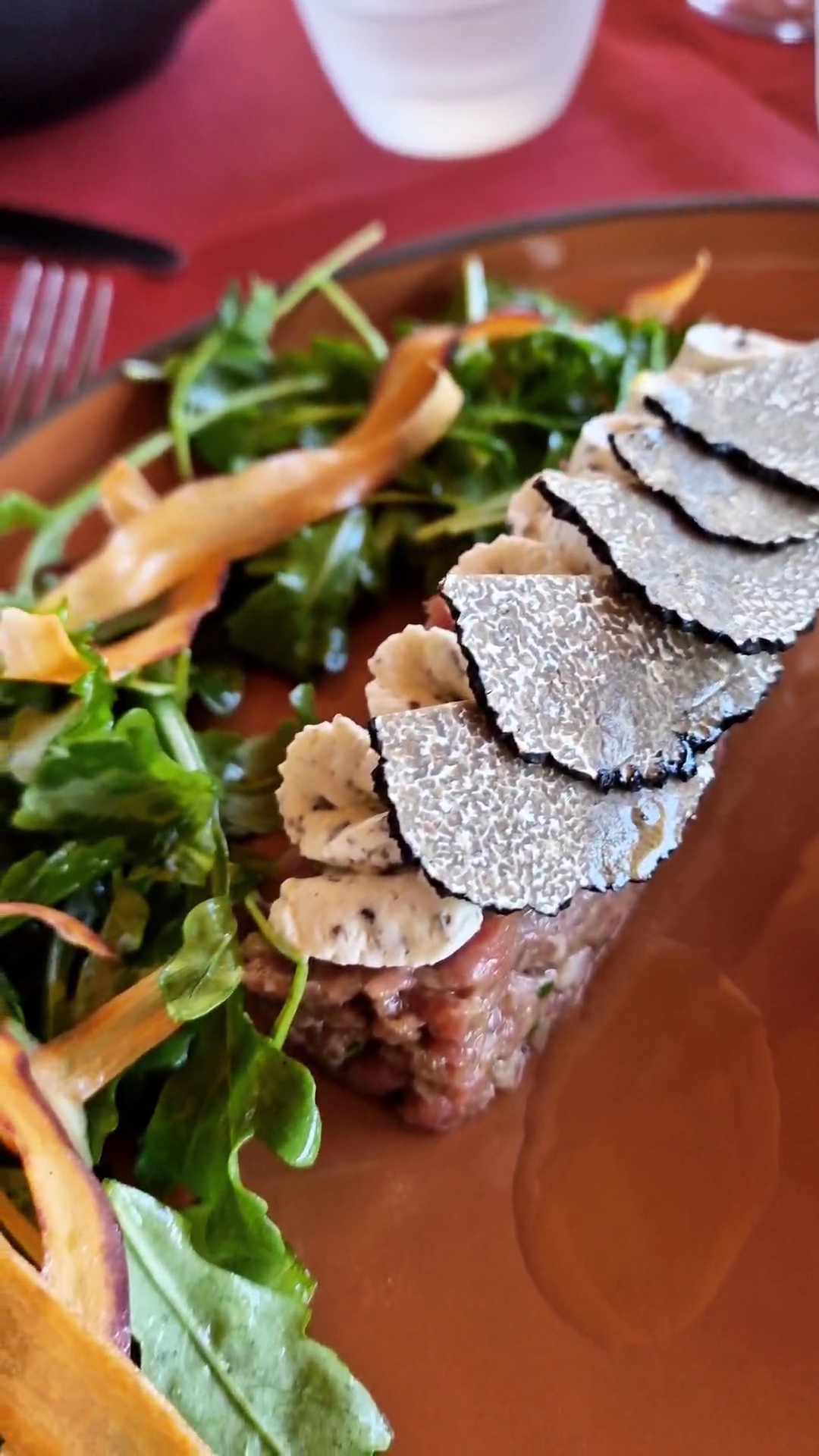 Truffe d'été fraîches (tuber aestivum)