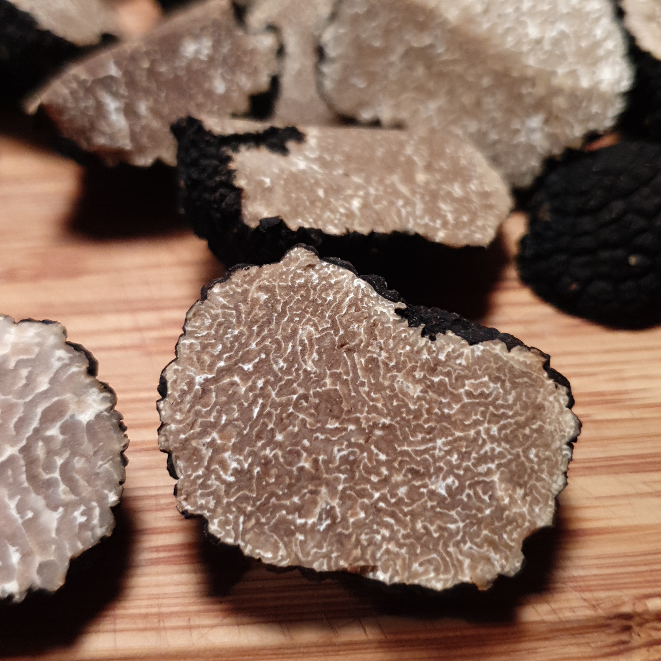 Truffe d'automne fraîches (tuber uncinatum)