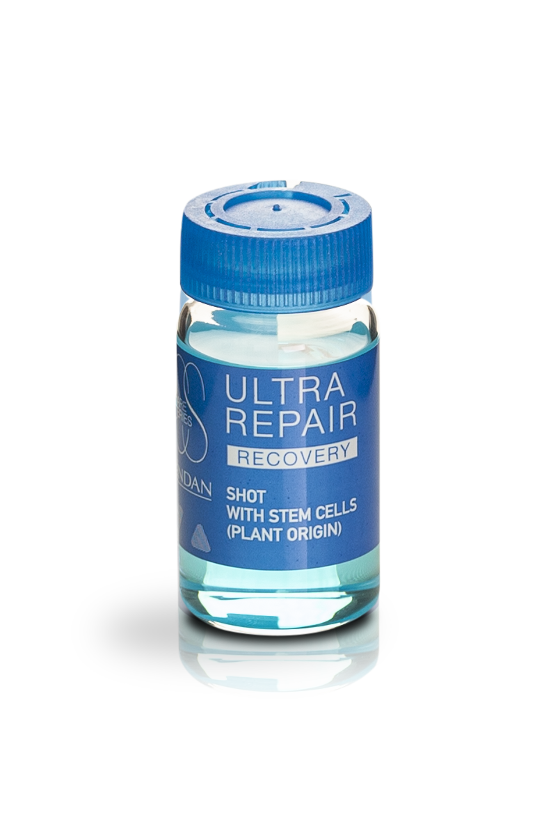 Ultra Repair Recovery