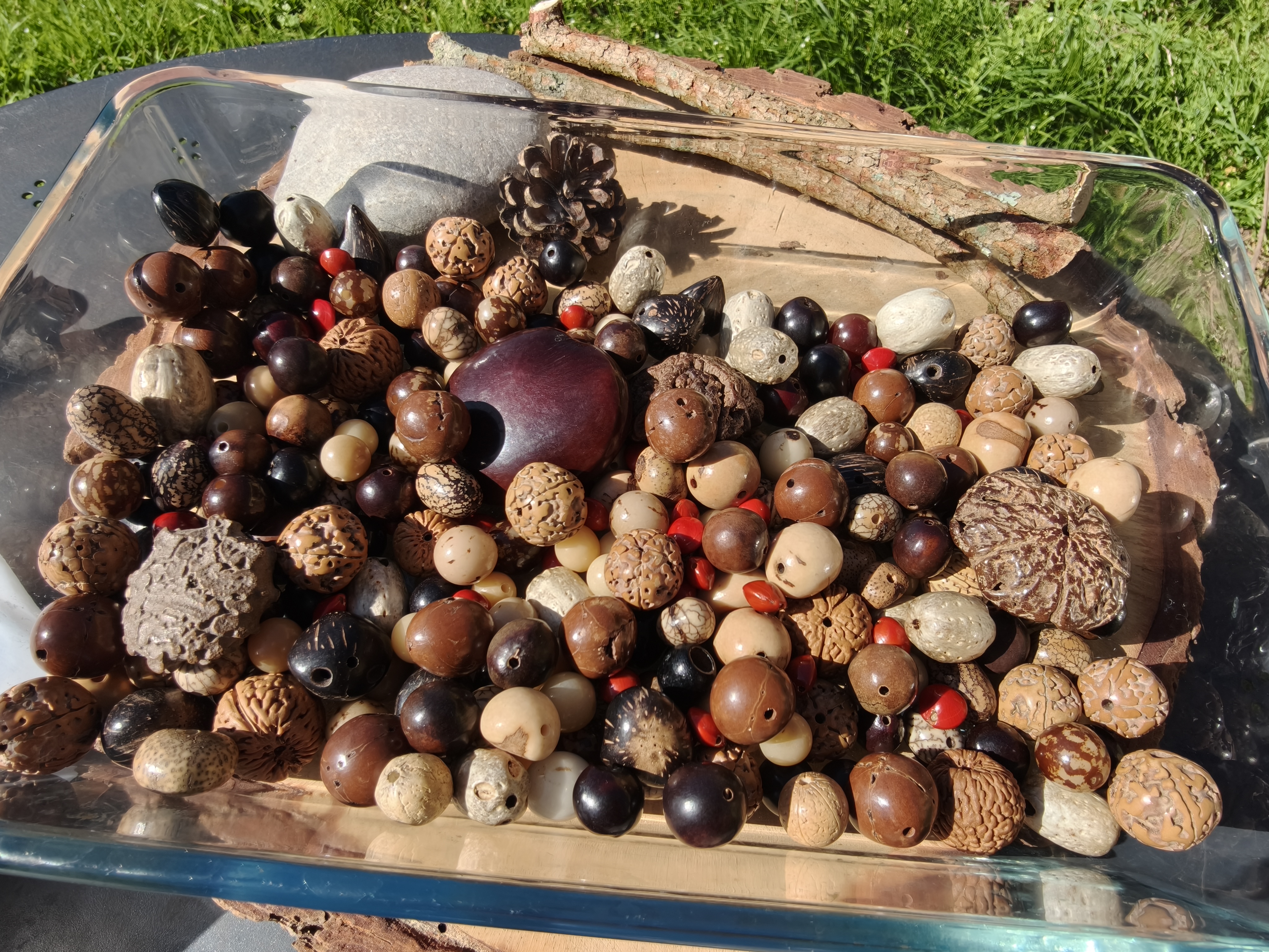Natural bodhi Seed Earrings