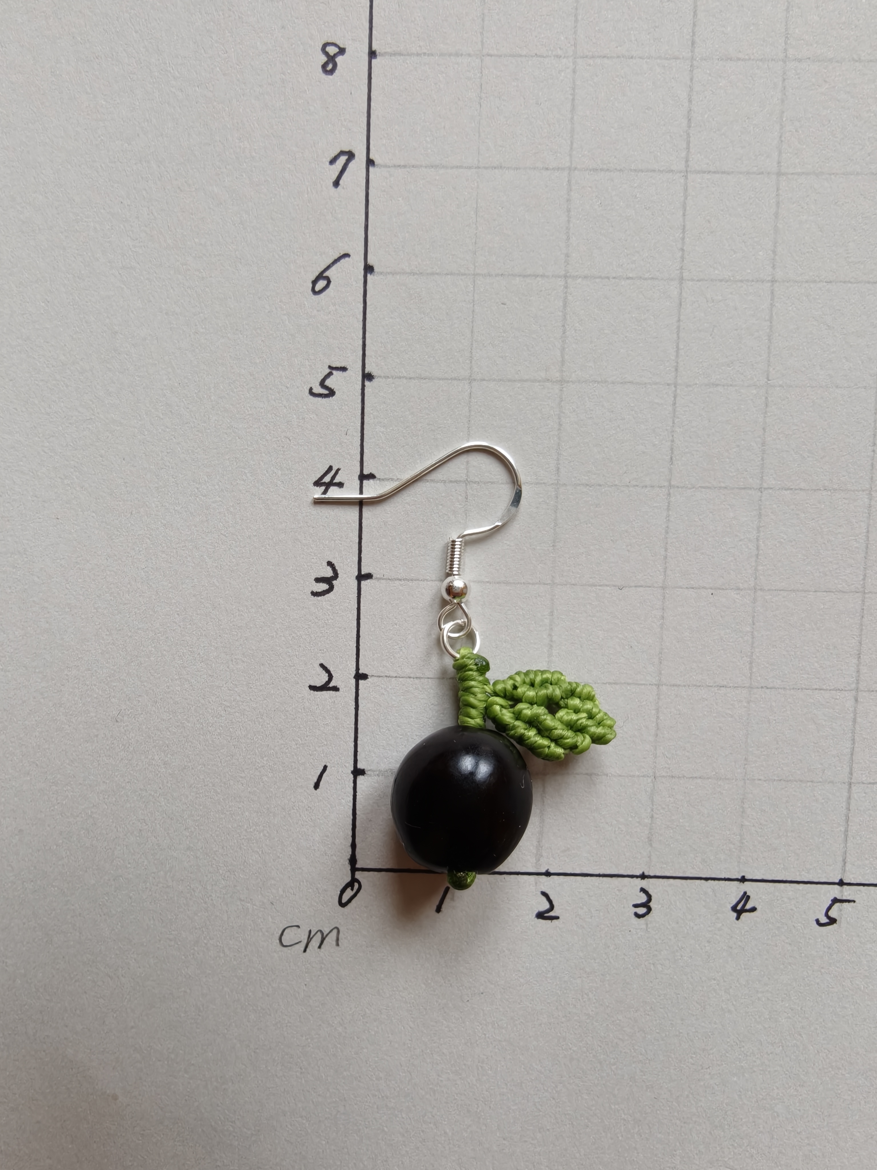 Fruit Earrings with Soapberry (无患子) Seed