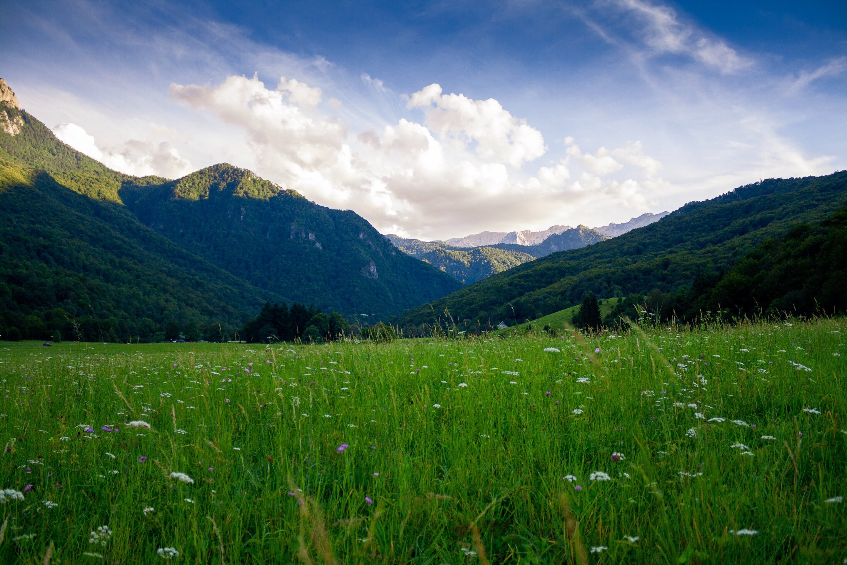 TOURS FOR PERSONS 10 - 17 YEARS