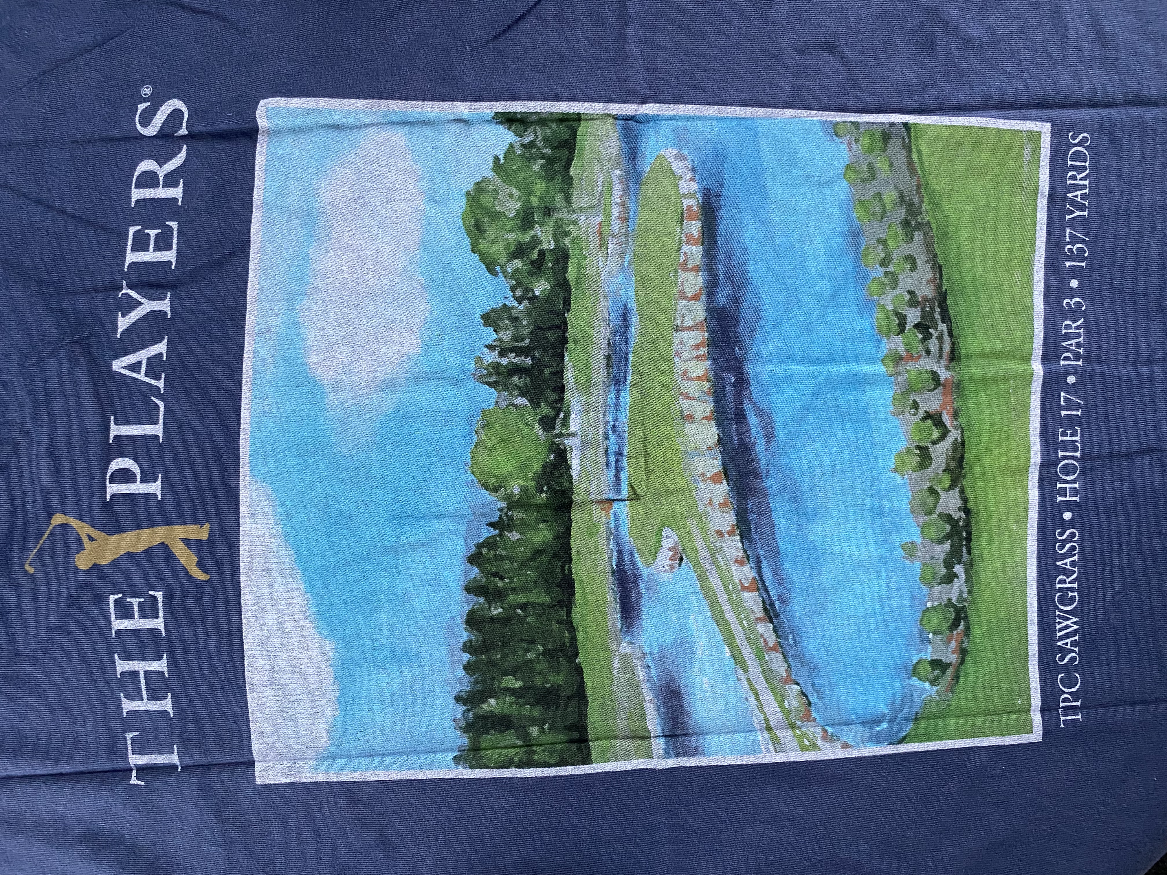 BRAND NEW Abercrombie & Fitch The Players tee (XS)