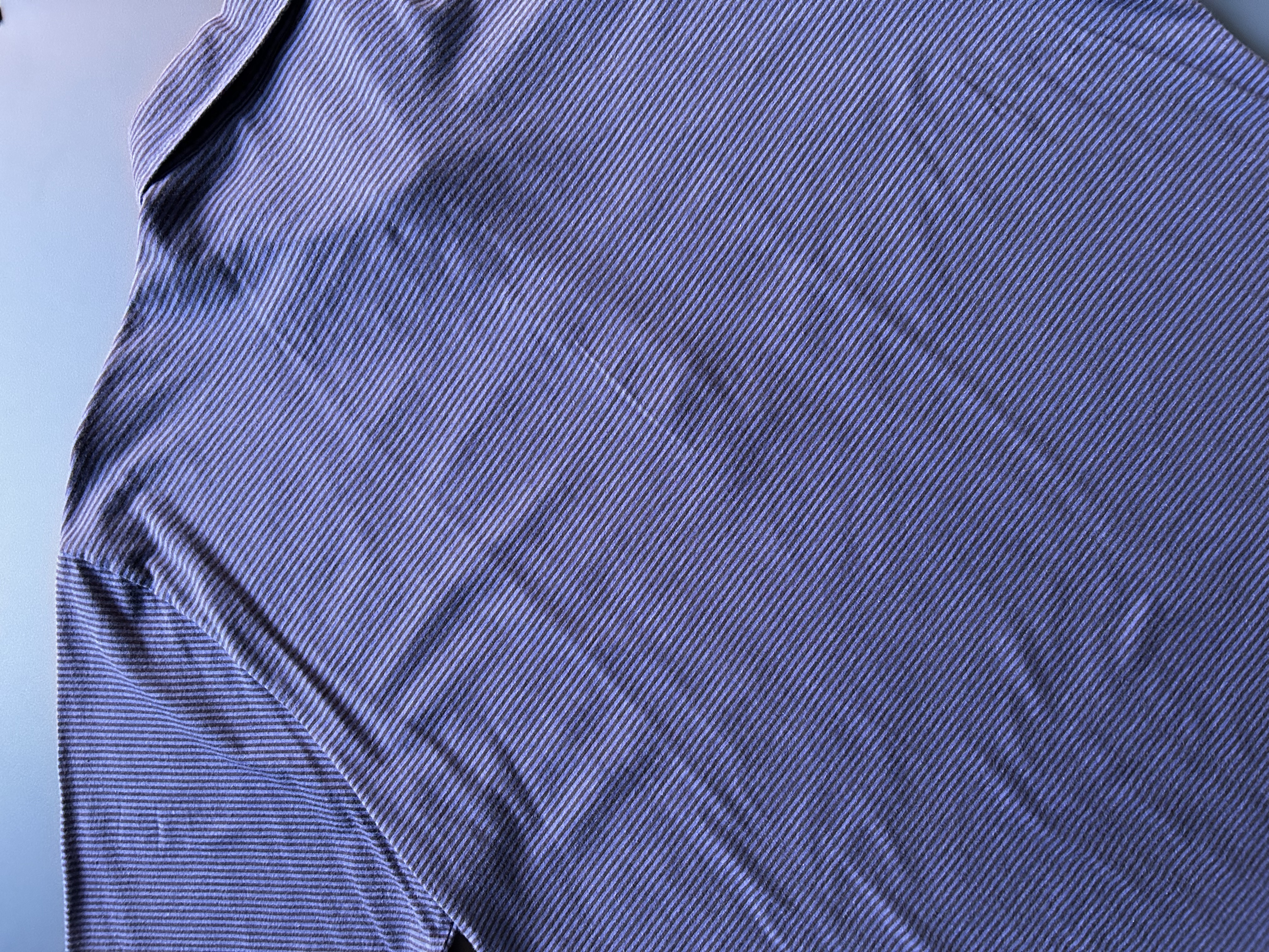classic Ralph Lauren Golf polo (L)