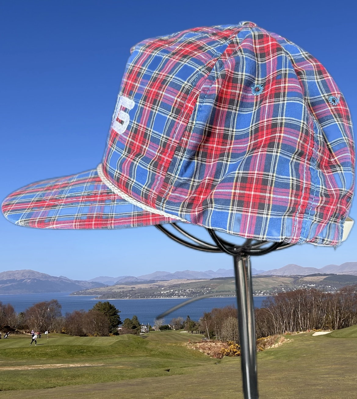 INCREDIBLE vintage ping cap 