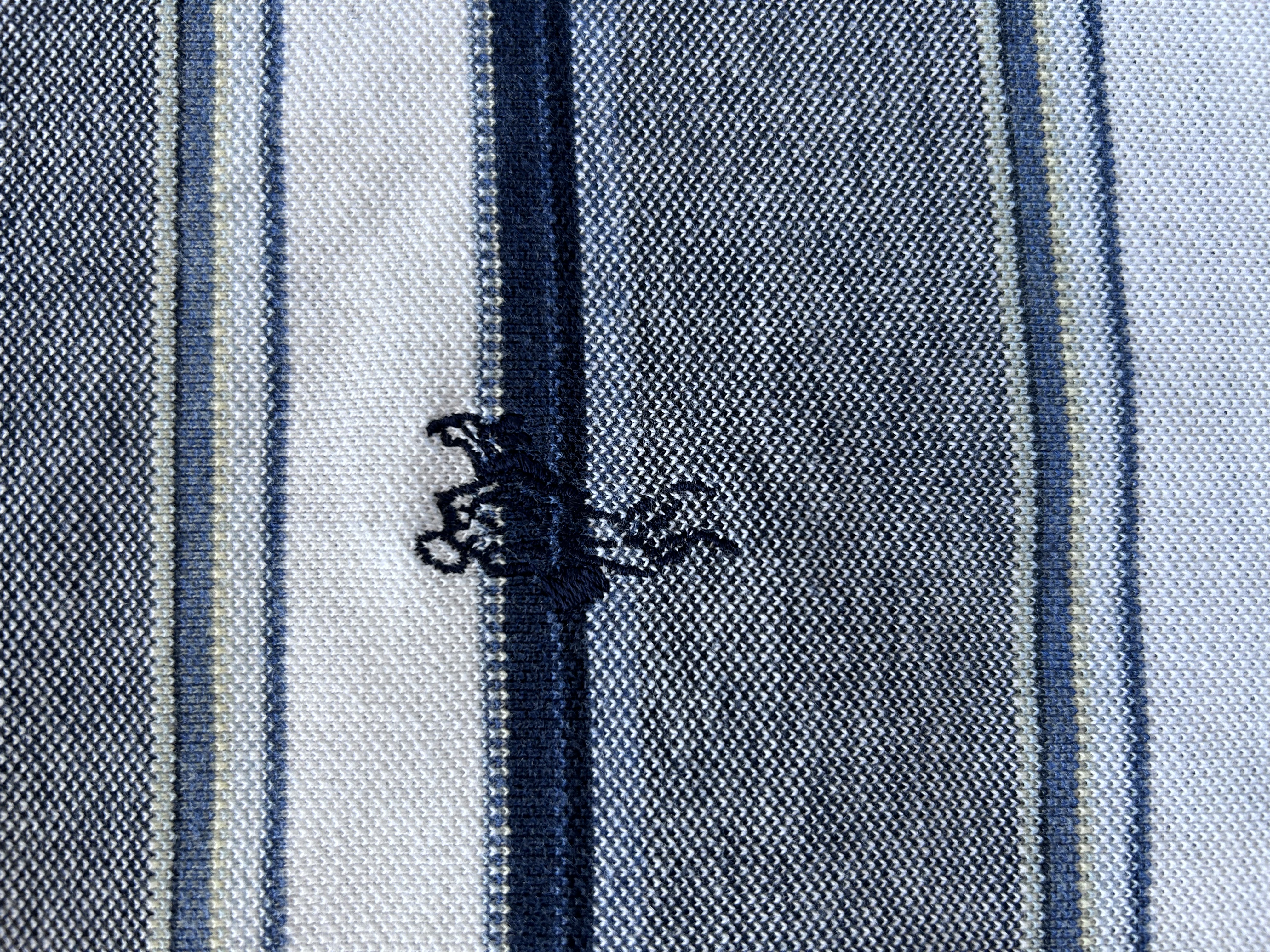 classic 90s ashworth polo (XL)
