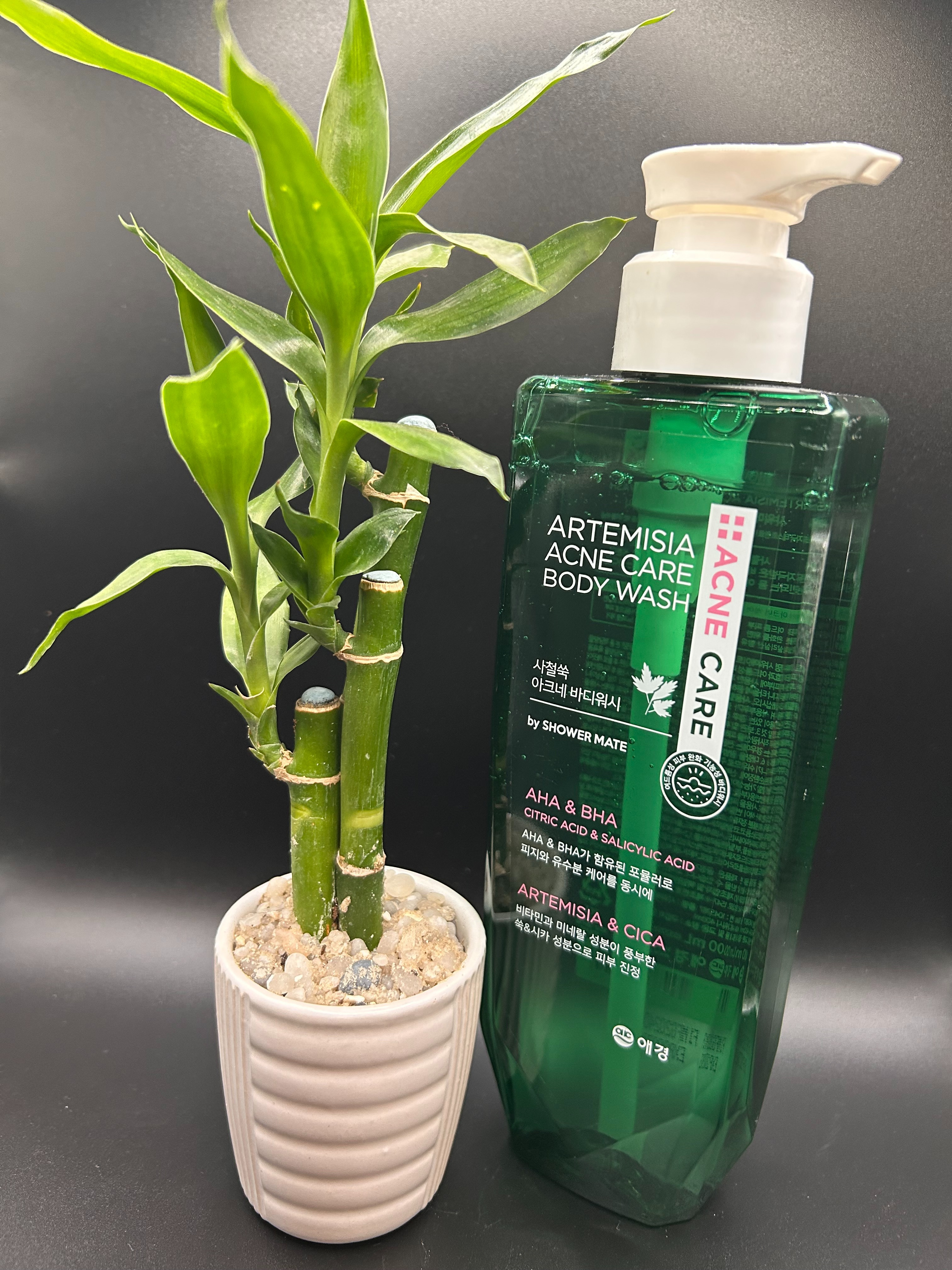 Artemisia Acne Care Body Wash by Showermate 