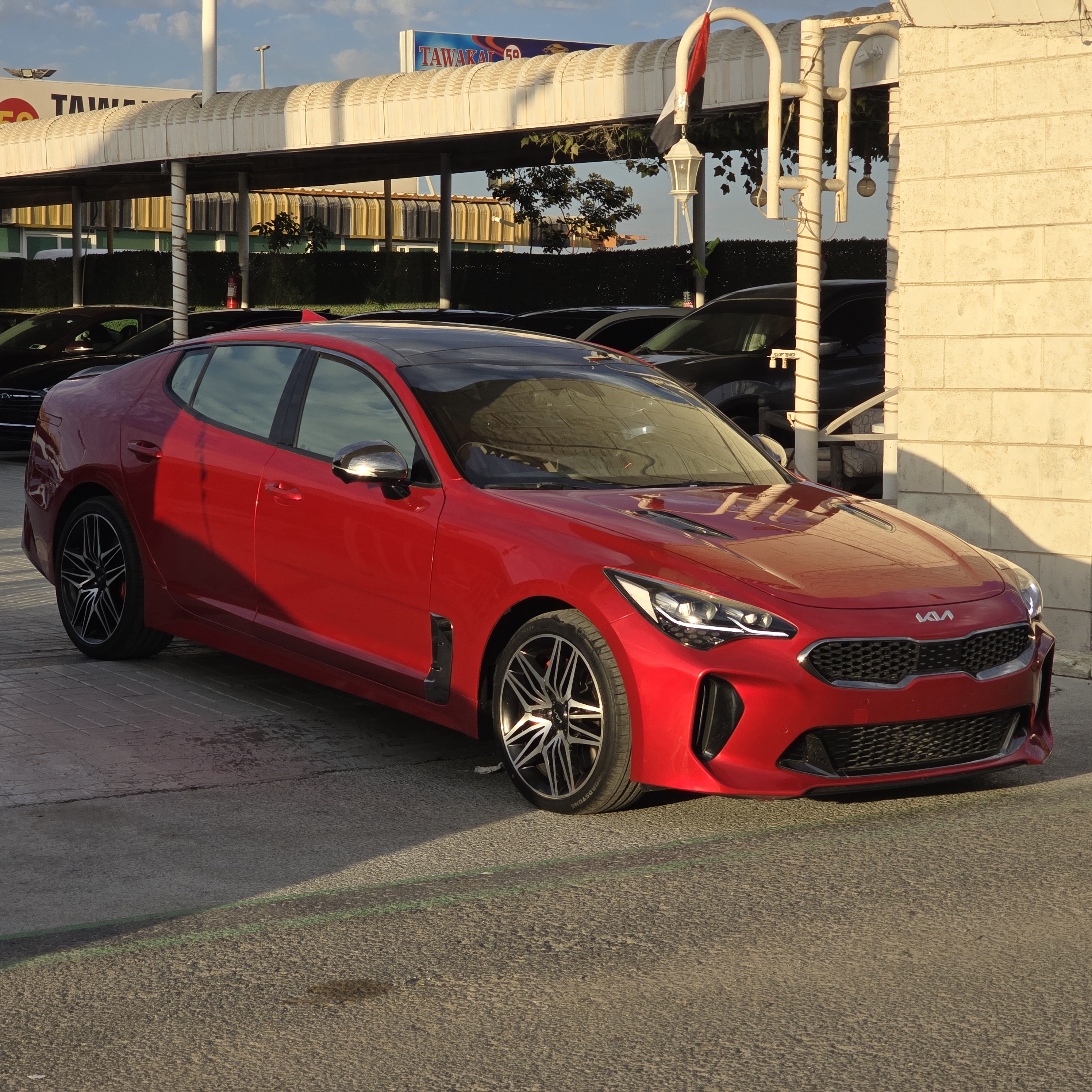 KIA STINGAR