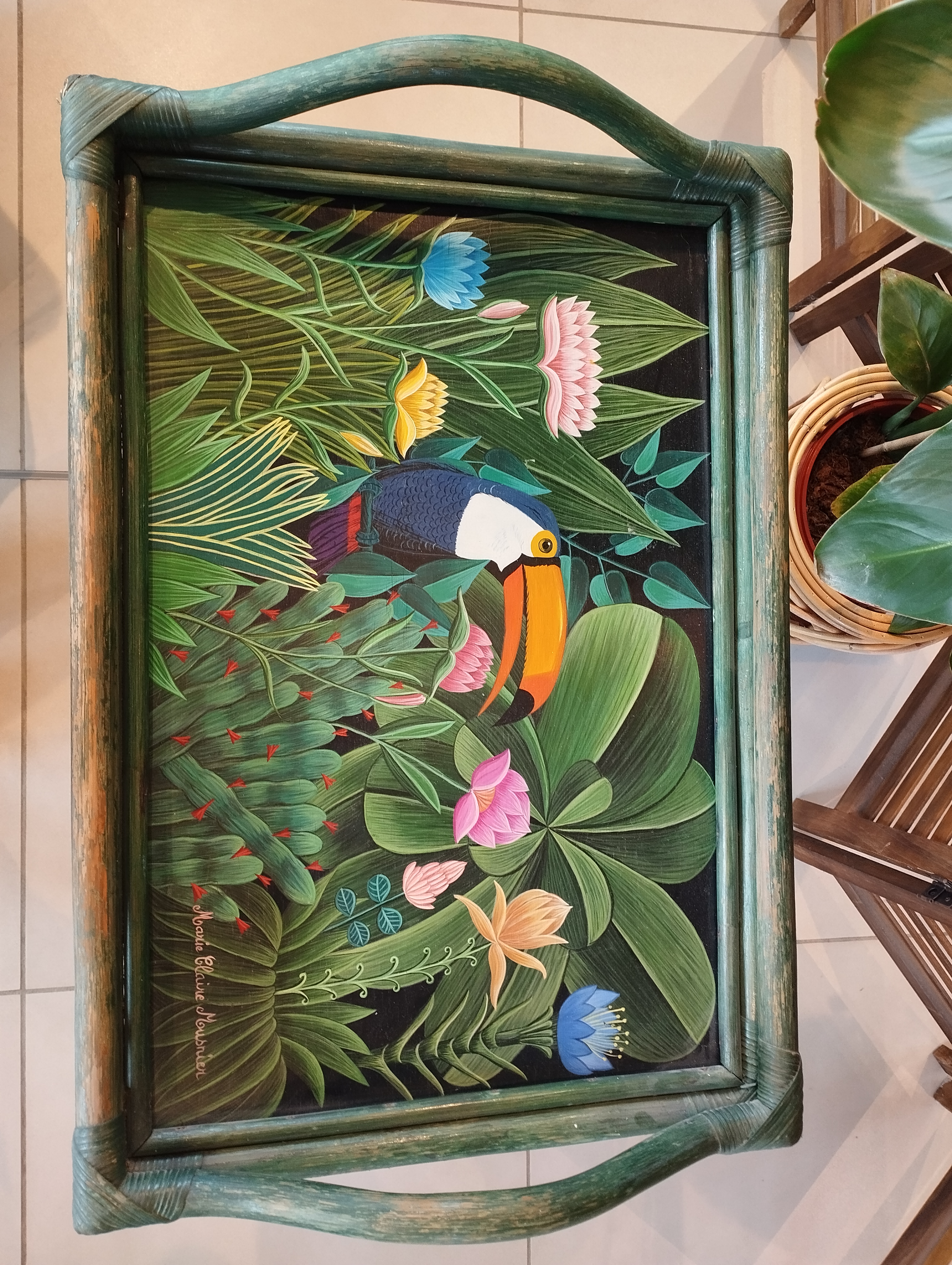 Plateau Tropical