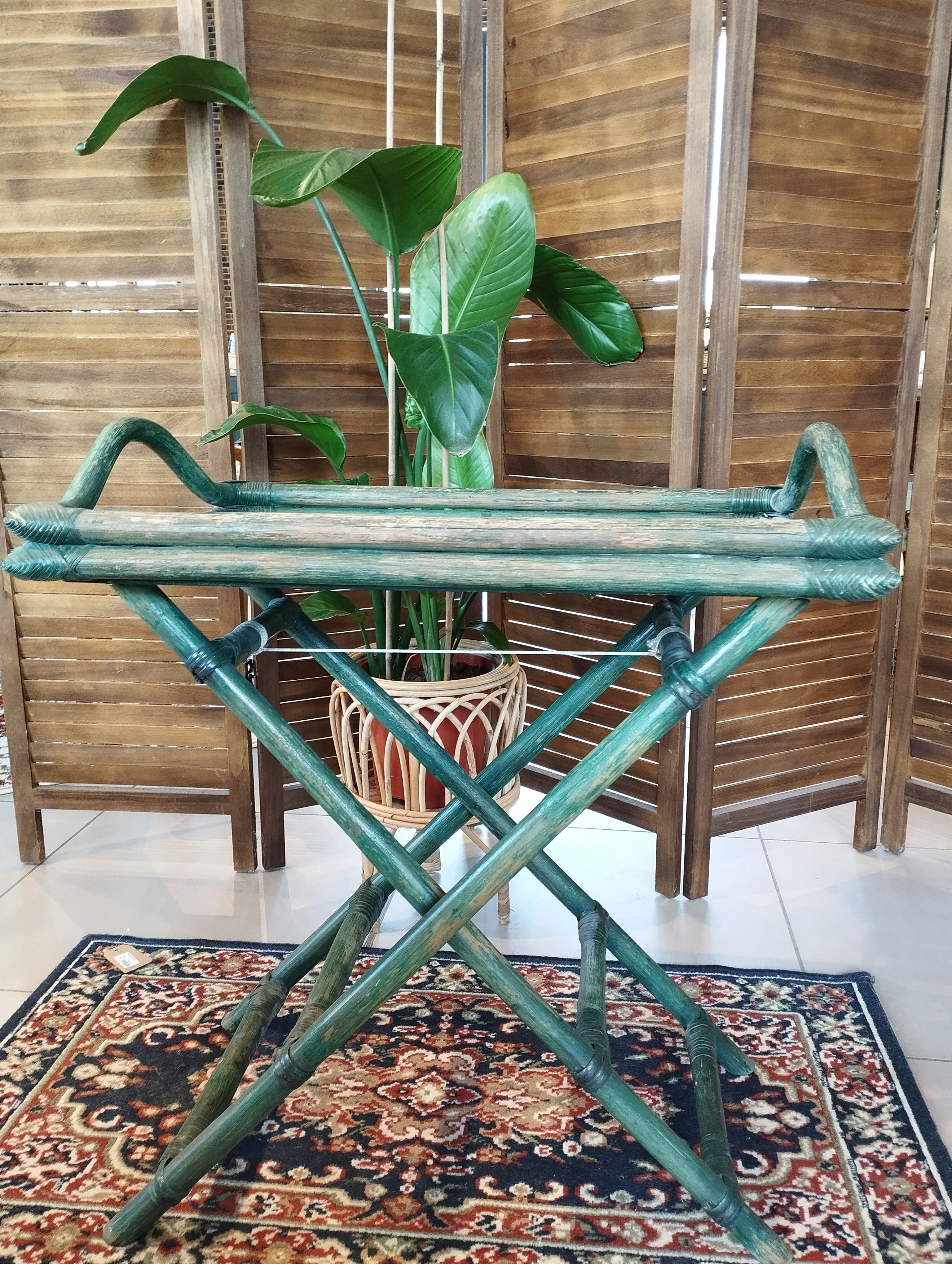 Plateau Tropical