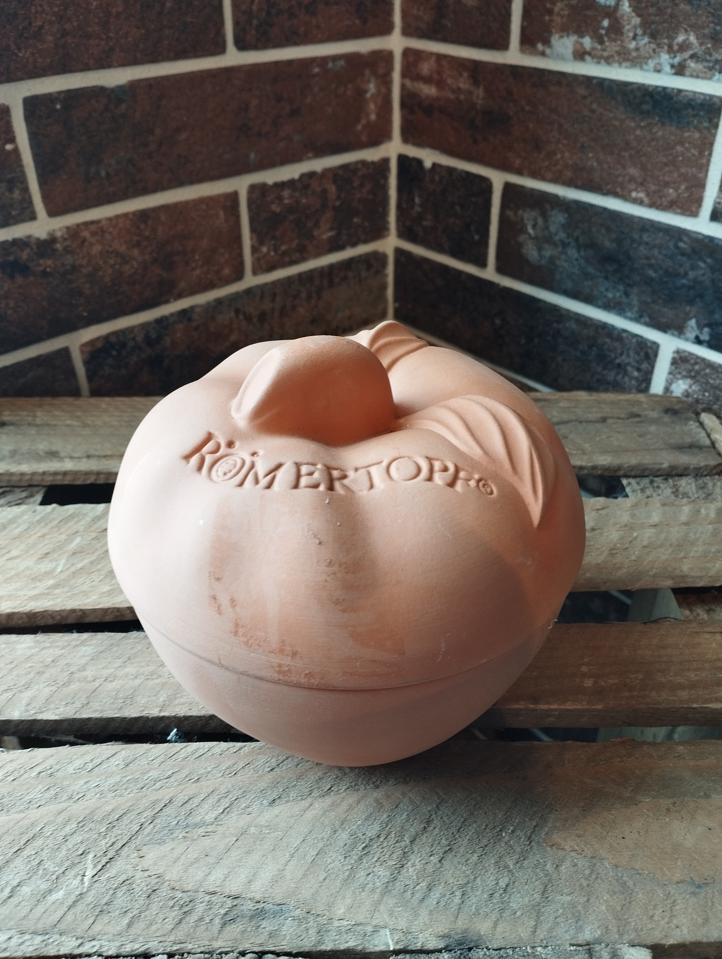 Plat en Terre Cuite Pomme