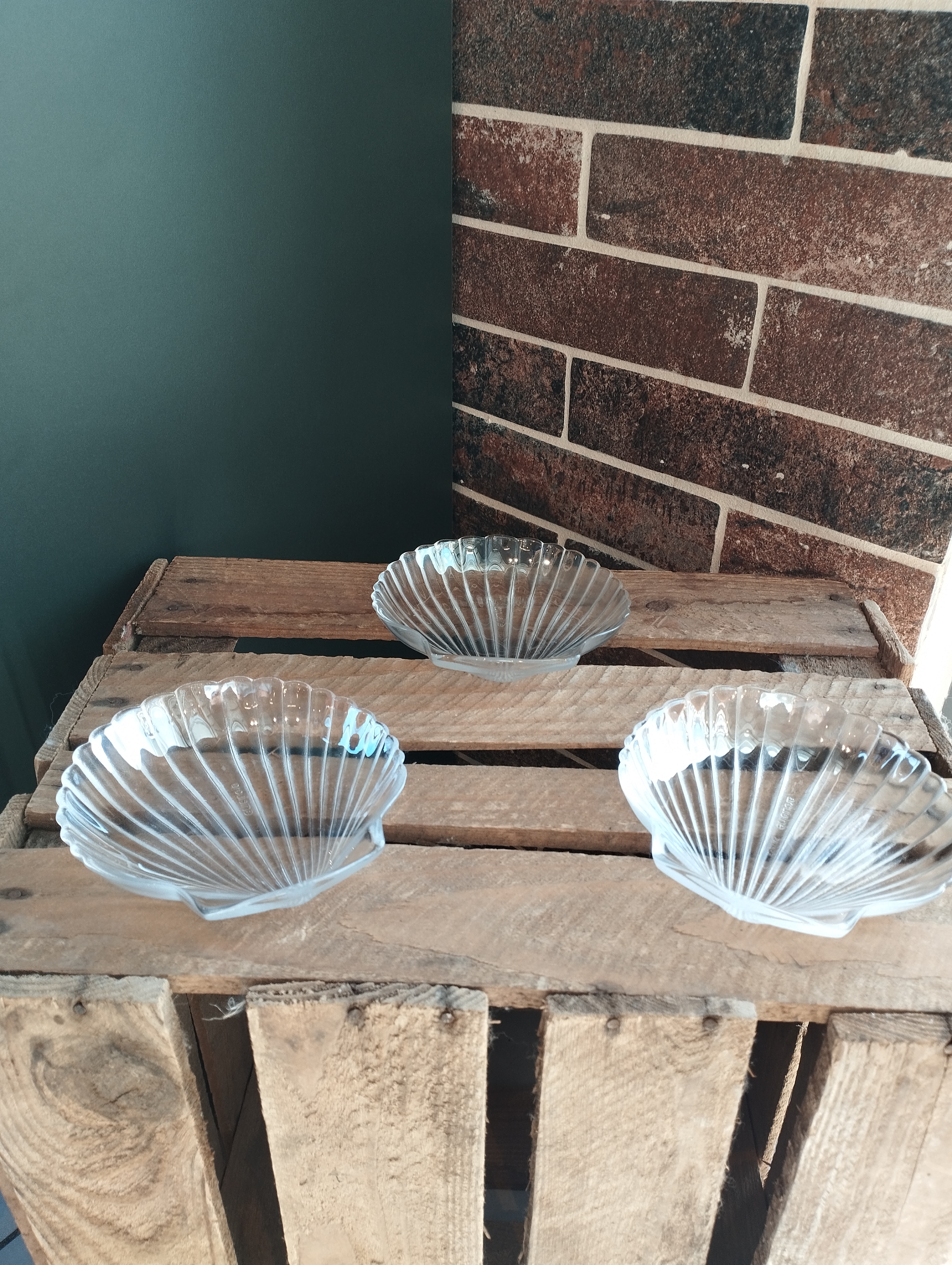 Lot 3 Coupelles Coquillages