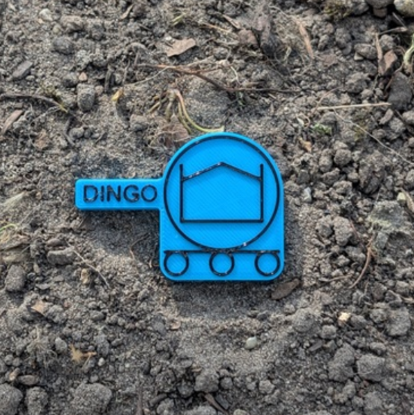 Dingo