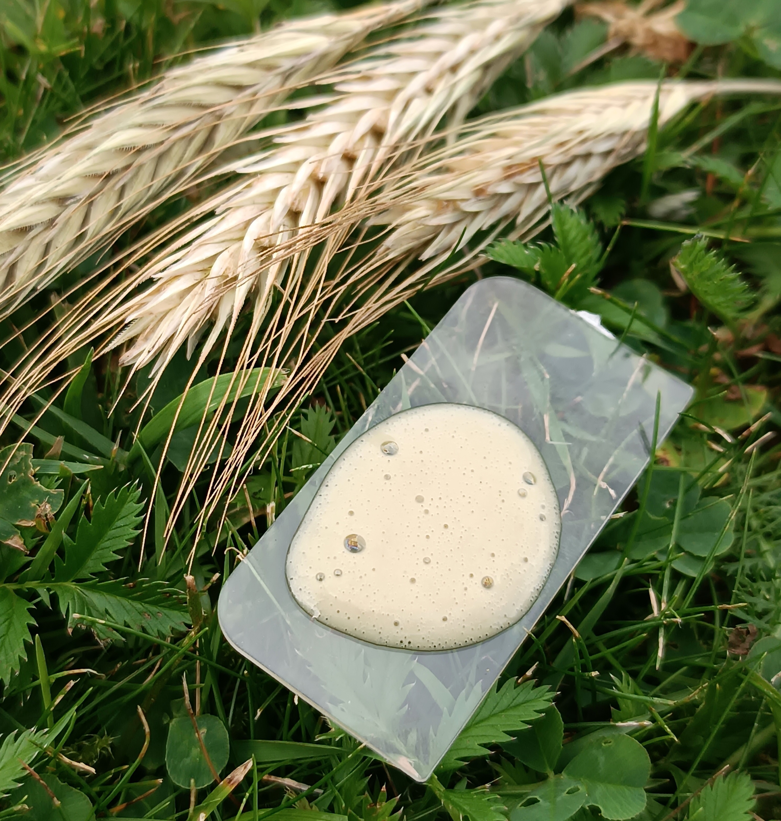 Lengvas, kremiškas veido prausiklis ”DETOX” su spirulina || Gerai valo nesausinant odos || Visiems odos tipams