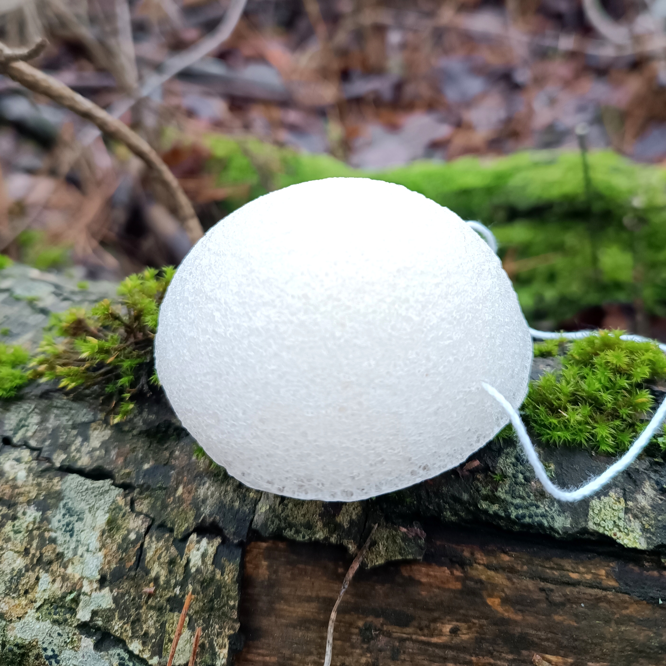 Natūrali KONJAC kempinė veidui || Pagaminta iš šakniagumbių pluošto