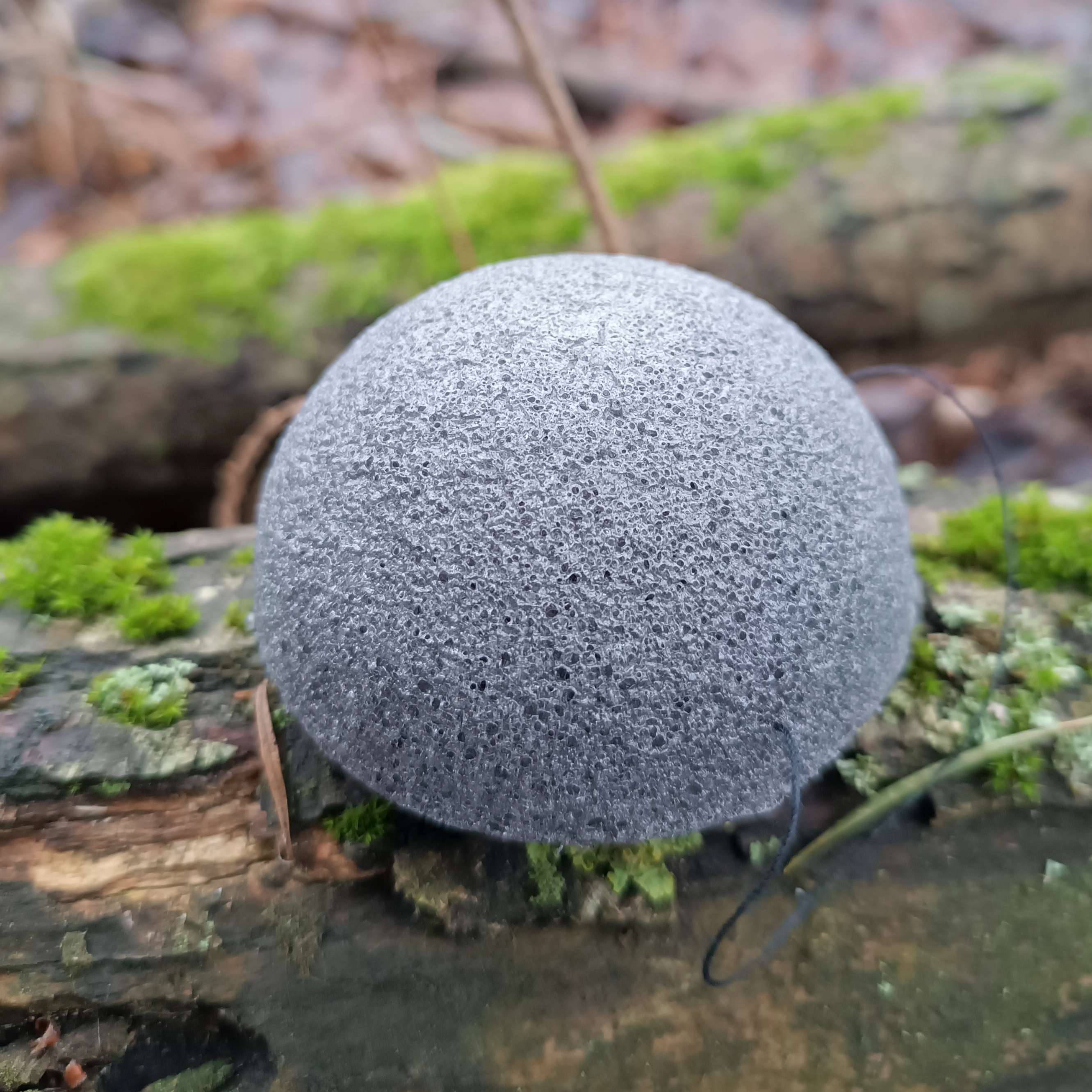 Natūrali KONJAC kempinė veidui || Pagaminta iš šakniagumbių pluošto