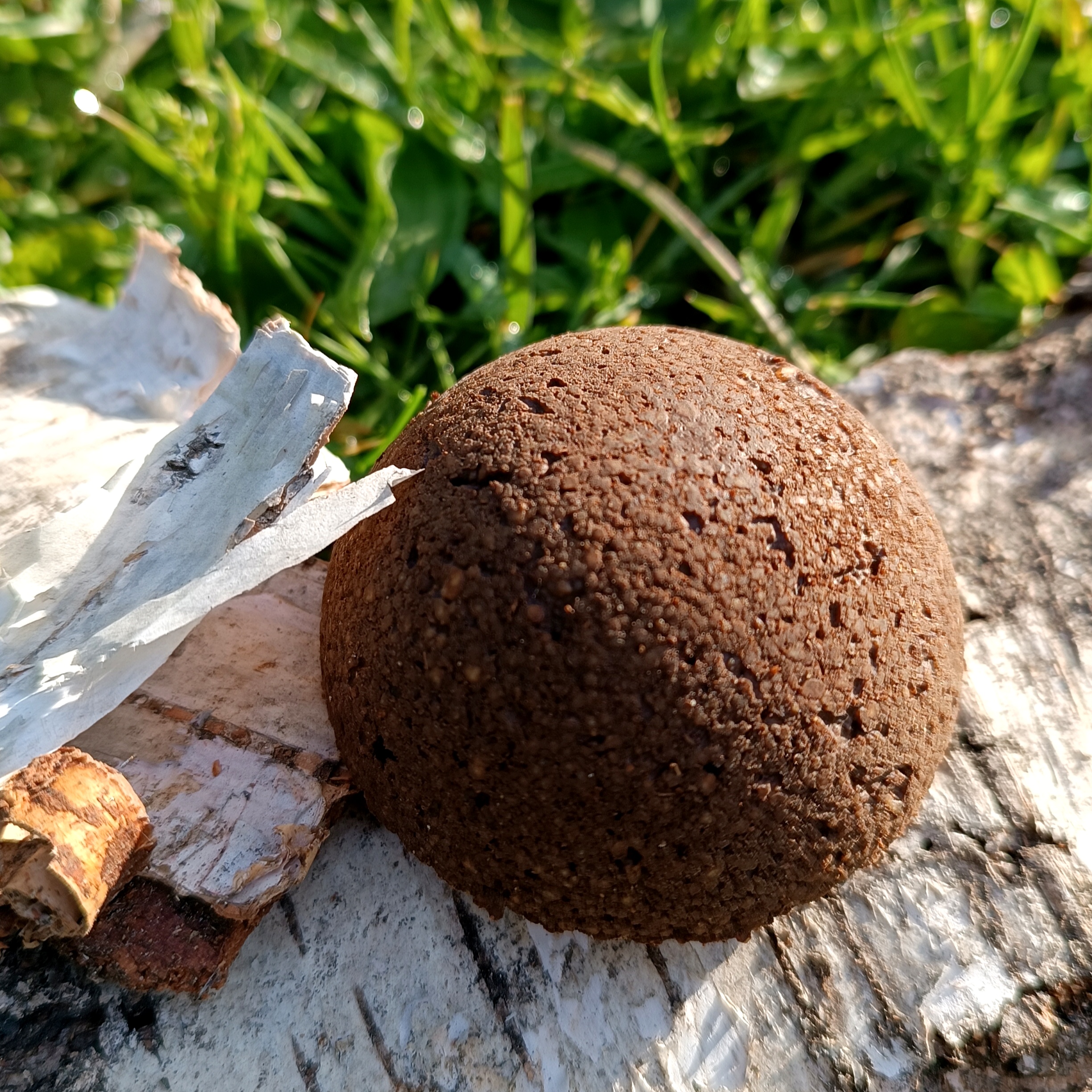 Stipraus dūmo kvapo muilas/šampūnas DEGUTINIS || Su beržo degutu, moliu || Probleminei galvos /kūno/veido odai
