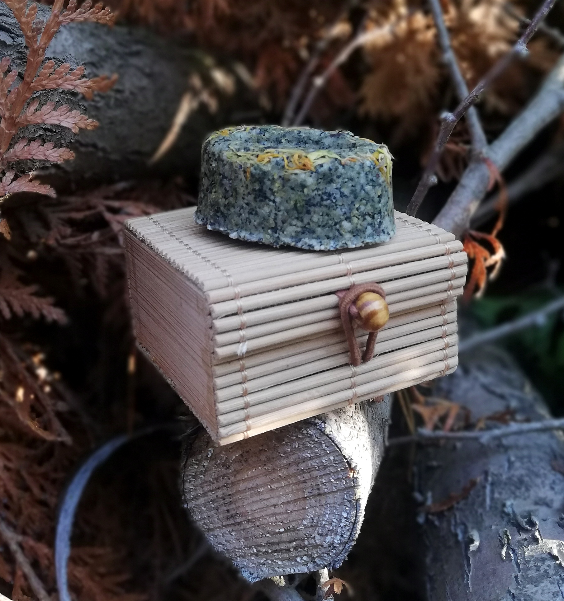 Kelioninė dėžutė šampūnui MINI