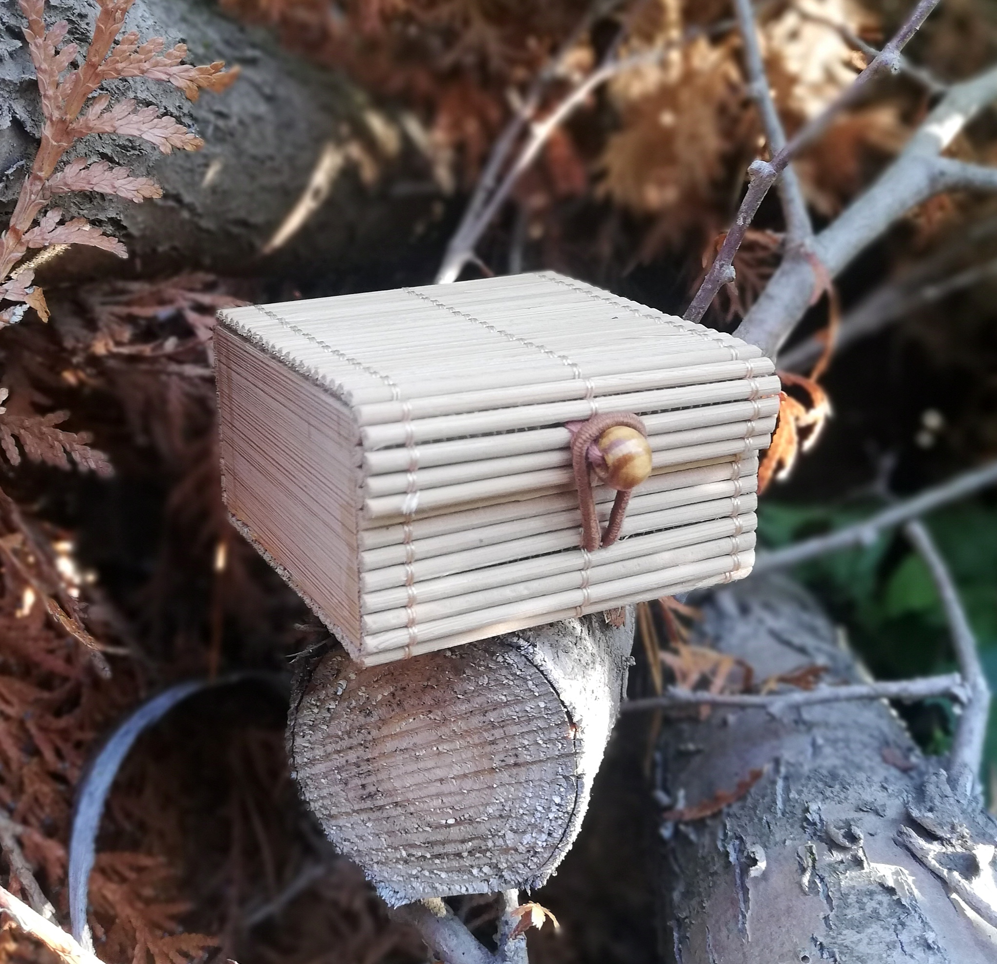Kelioninė dėžutė šampūnui MINI