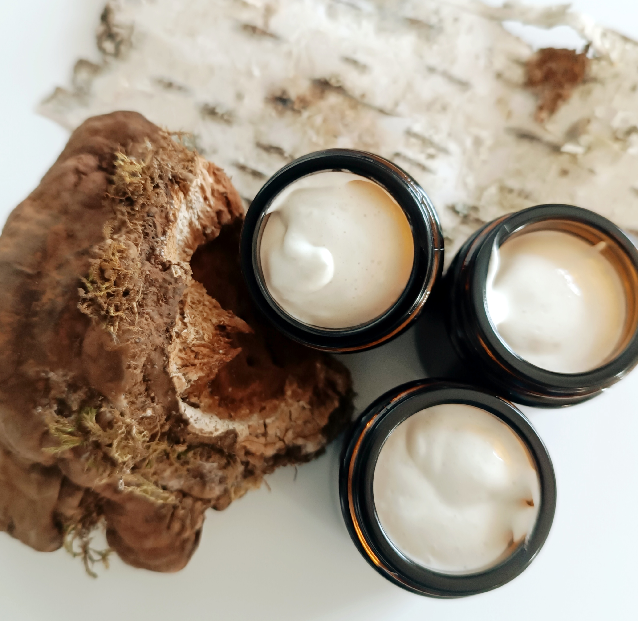 Veido kremas 🍄 "BERŽAS & ČAGA" || Su Čaga grybo, beržo, agurkų ekstraktais || Brandžiai odai