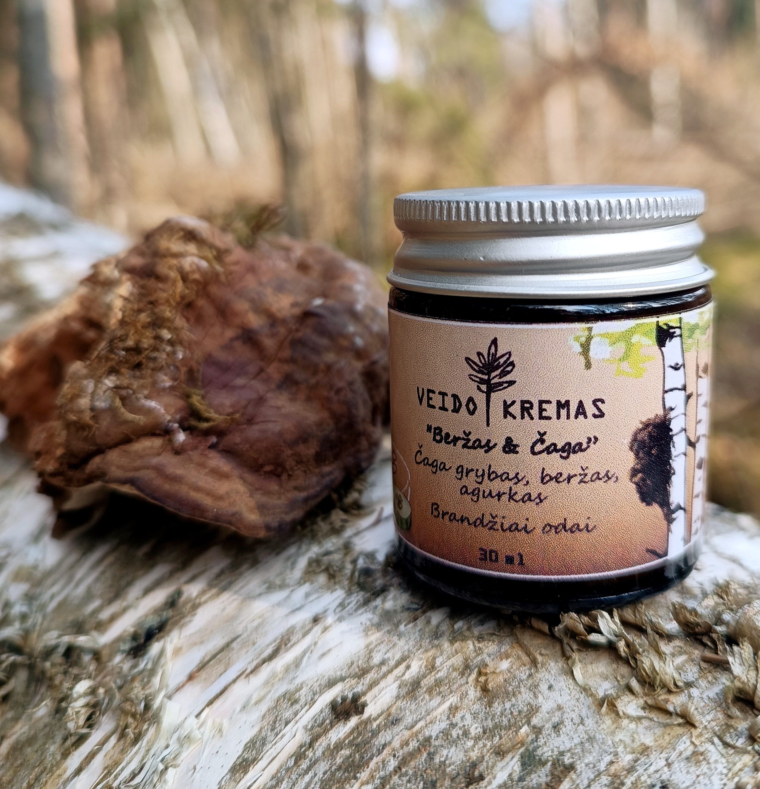 Veido kremas 🍄 "BERŽAS & ČAGA" || Su Čaga grybo, beržo, agurkų ekstraktais || Brandžiai odai