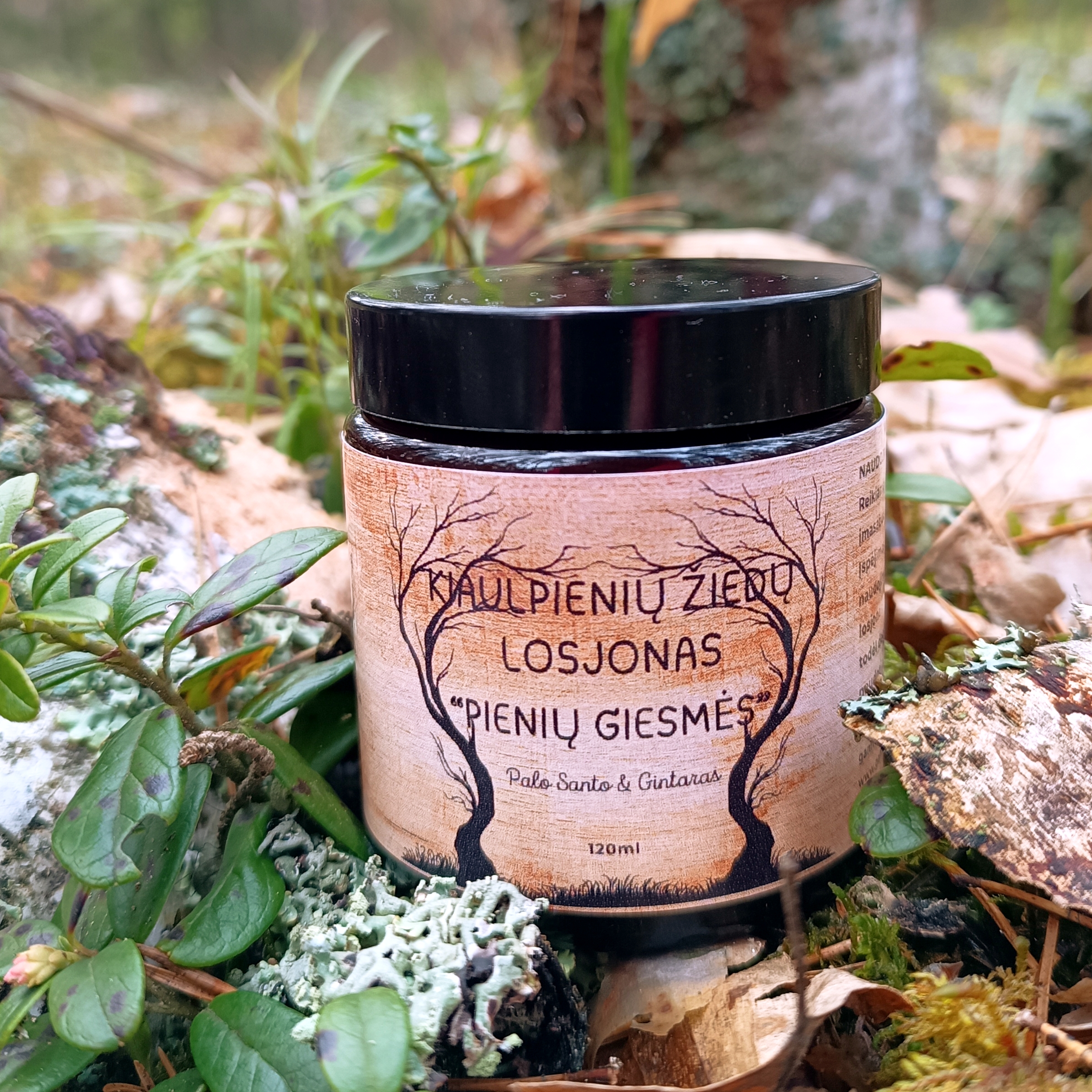 Palo Santo kvapo kūno losjonas "PIENIŲ GIESMĖS" || Su kiaulpienių žiedų ir morkų sėklų aliejumi