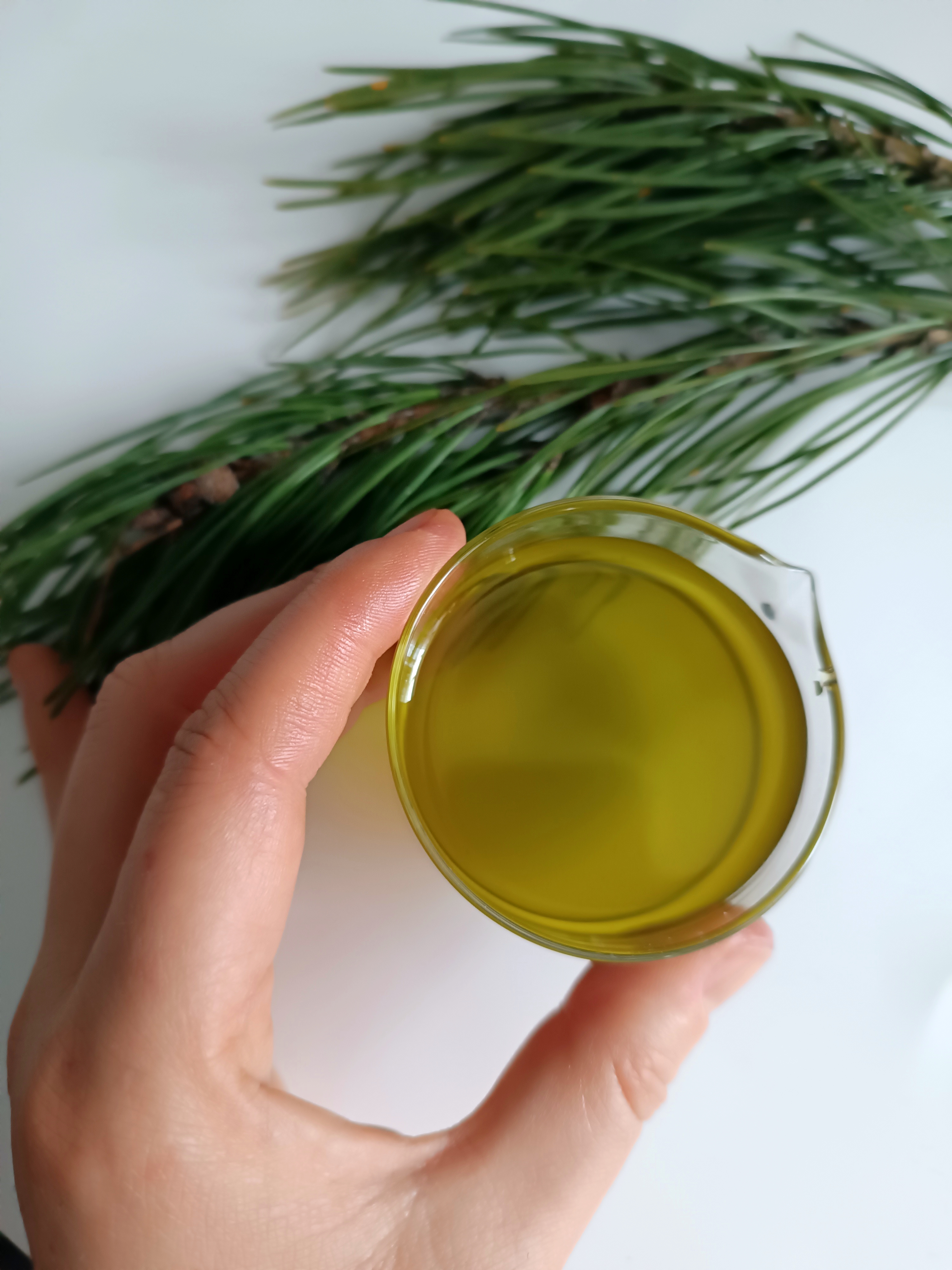 Pušų fitolis🌲 ||  Grynas || Plaukų stiprinimui, plaukų slinkimo mažinimui, nuo odos negalavimų