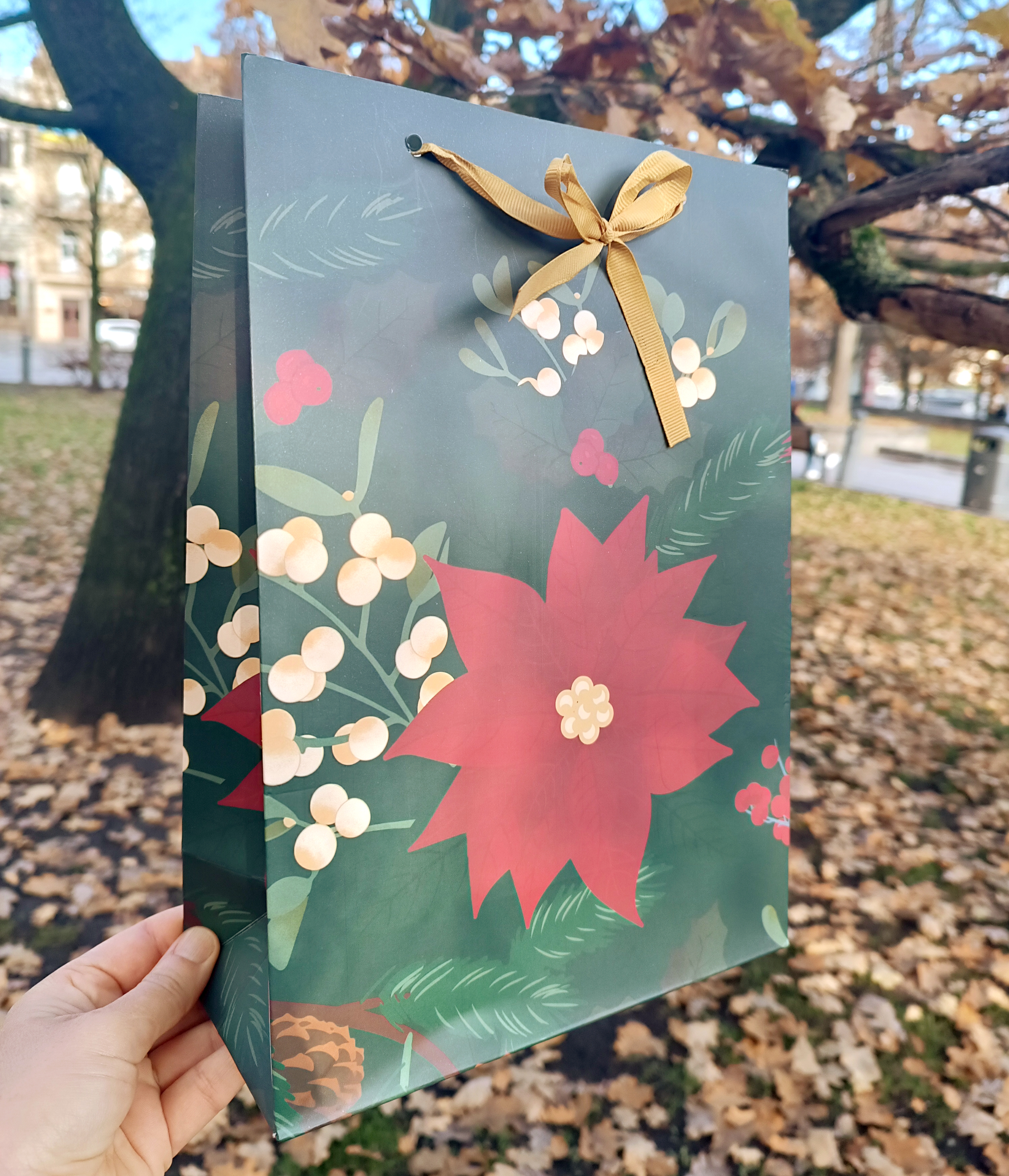 Popierinis 🎁 šventinis/dovanų maišas