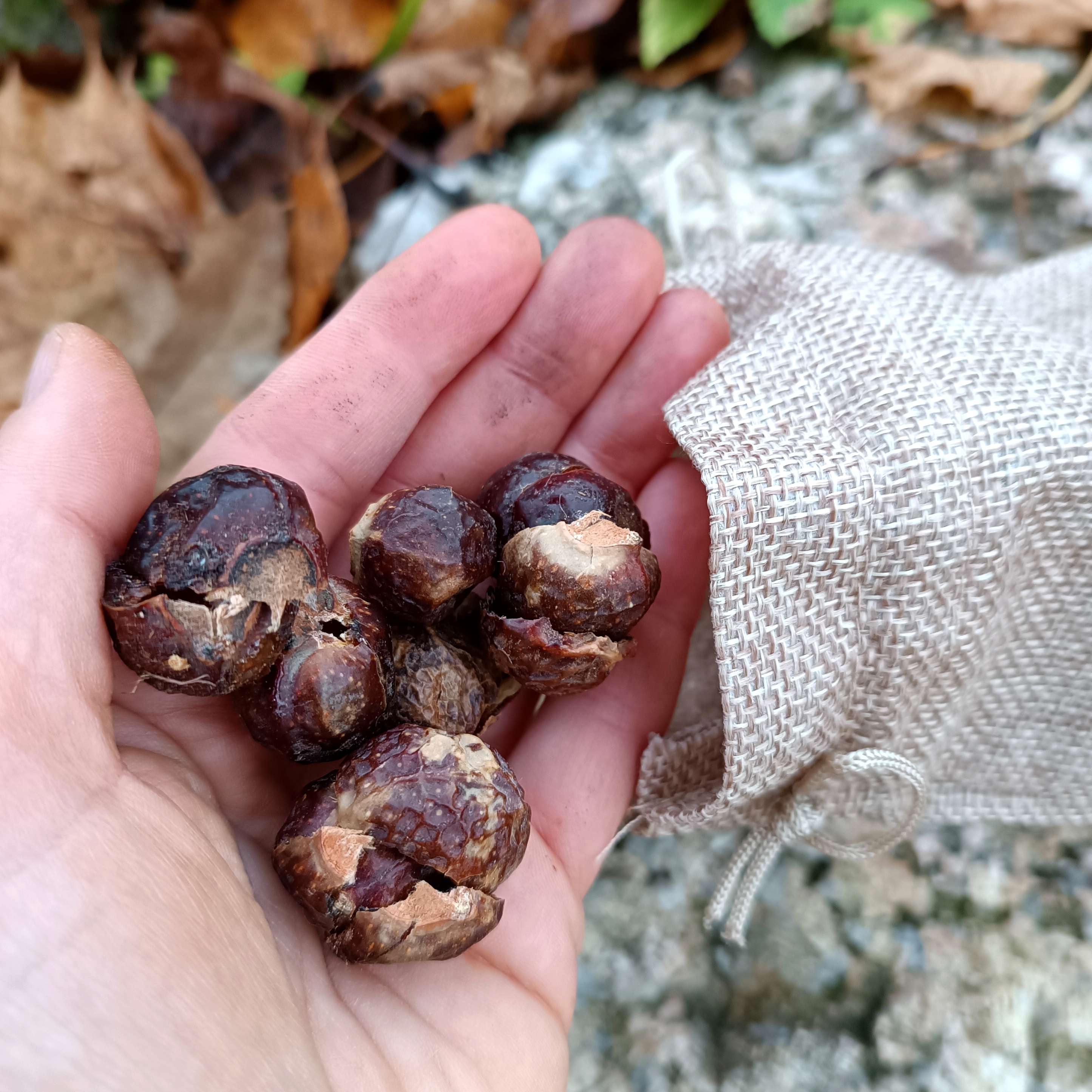 Muilo riešutai drabužių skalbimui || 150g maišiukas džiuto-lino