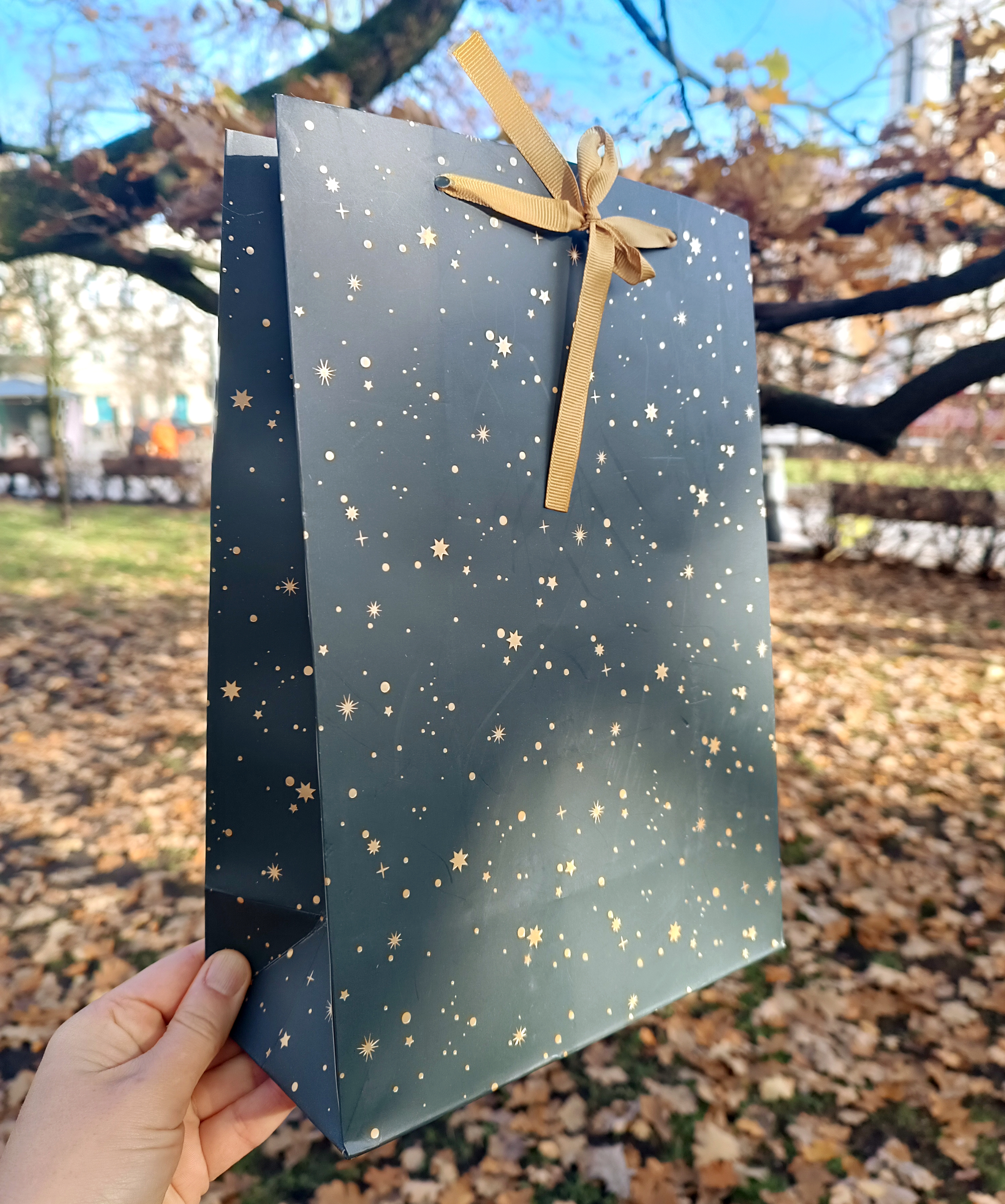 Popierinis 🎁 šventinis/dovanų maišas 