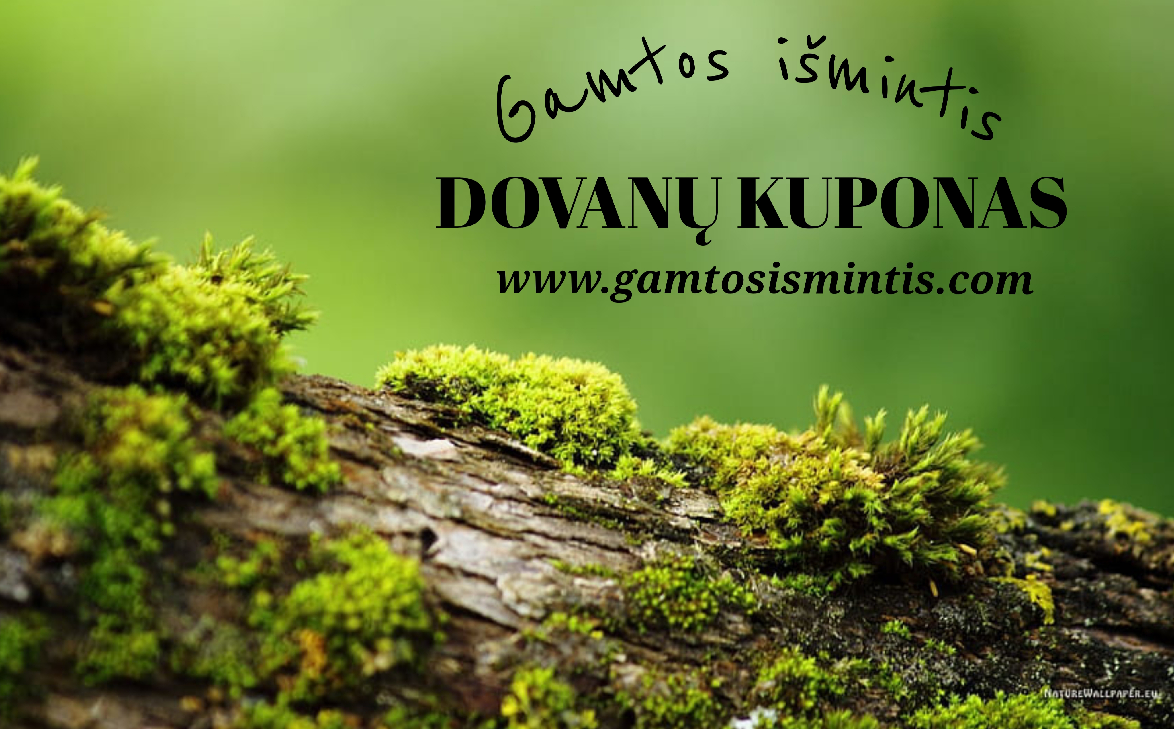 Dovanų kuponas (skaitmeninis)