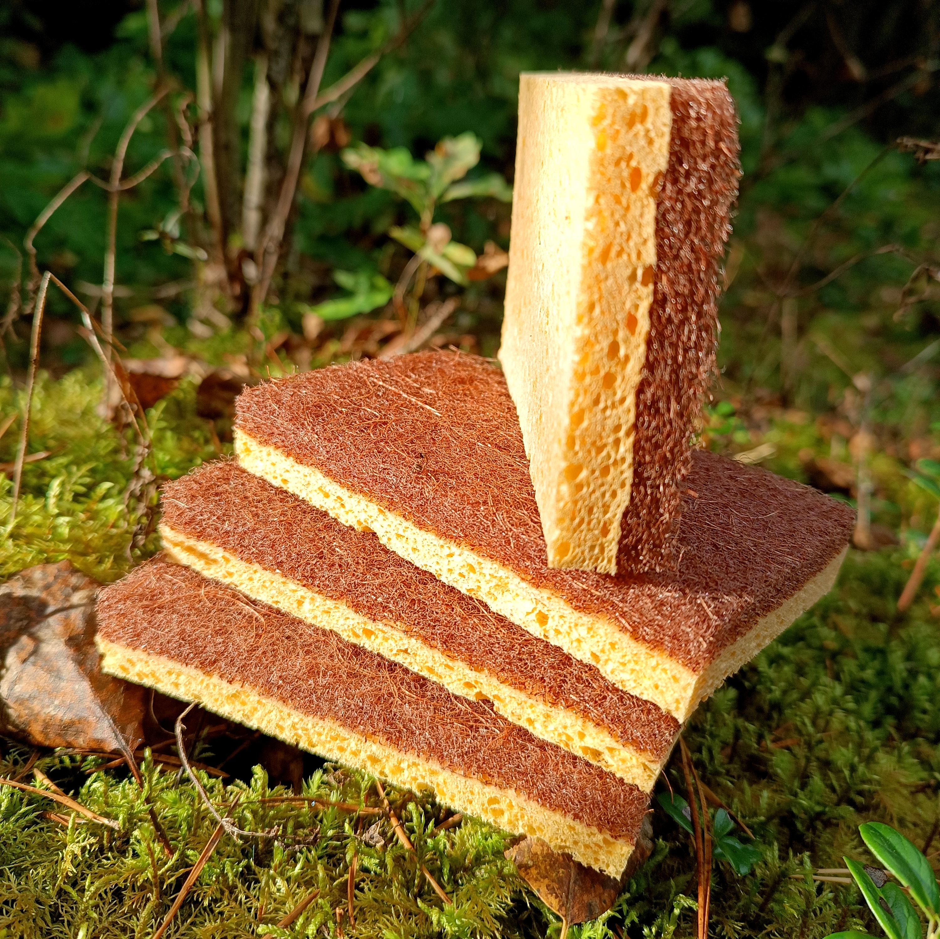 Biologiškai suyranti kempinė iš kokosų pluošto ir celiuliozės (su šveičiamąja dalimi)