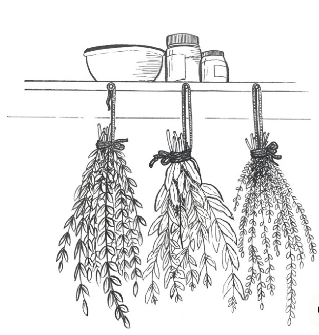 Konsultacija apie kosmetikos gamybą || 45min