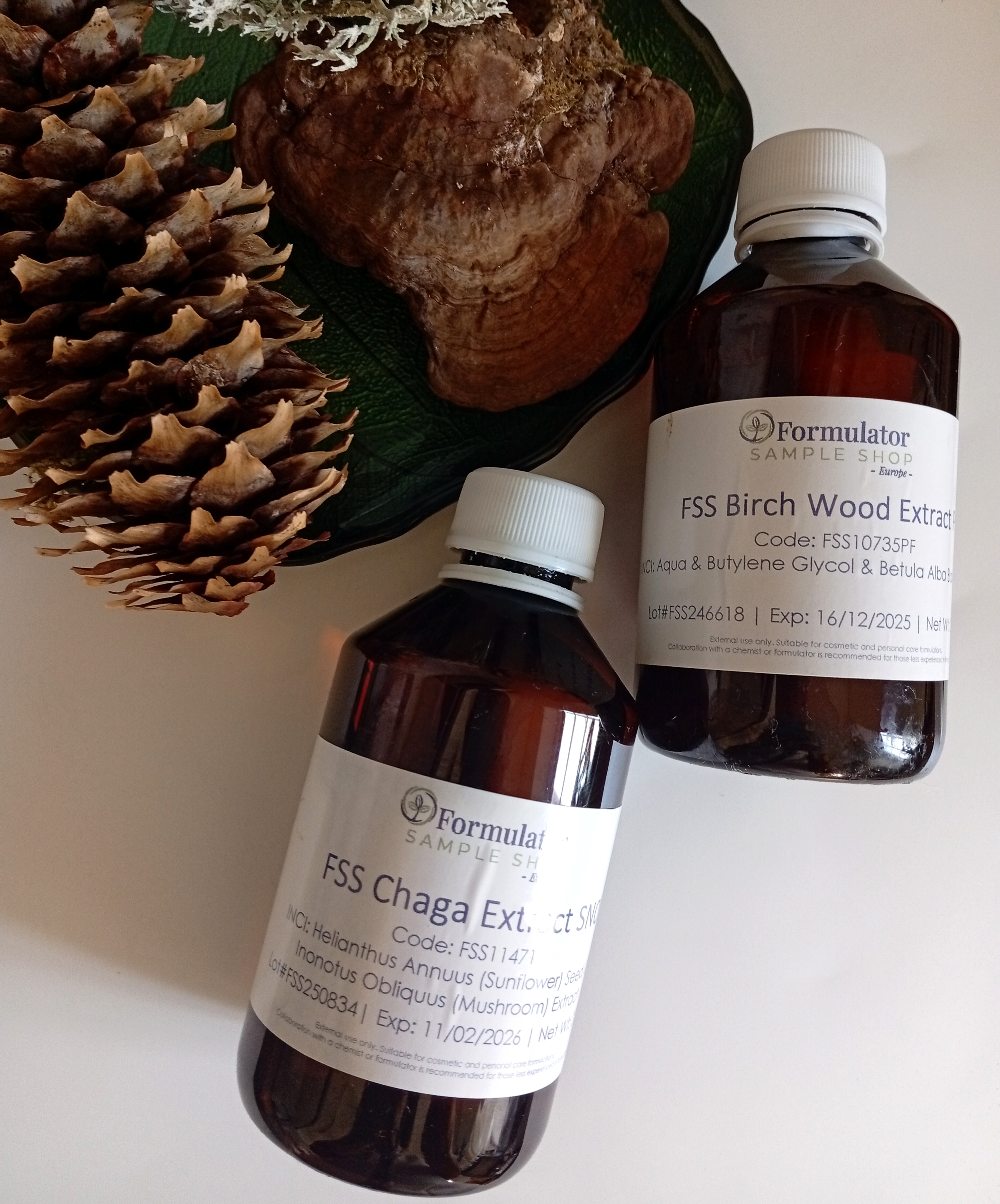 Veido kremas 🍄 "BERŽAS & ČAGA" || Su Čaga grybo, beržo, agurkų ekstraktais || Brandžiai odai