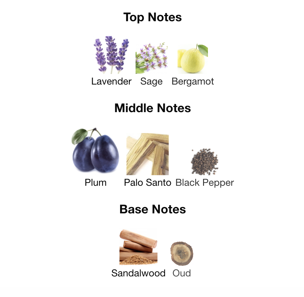 Vintage Radio EDP 100 ml