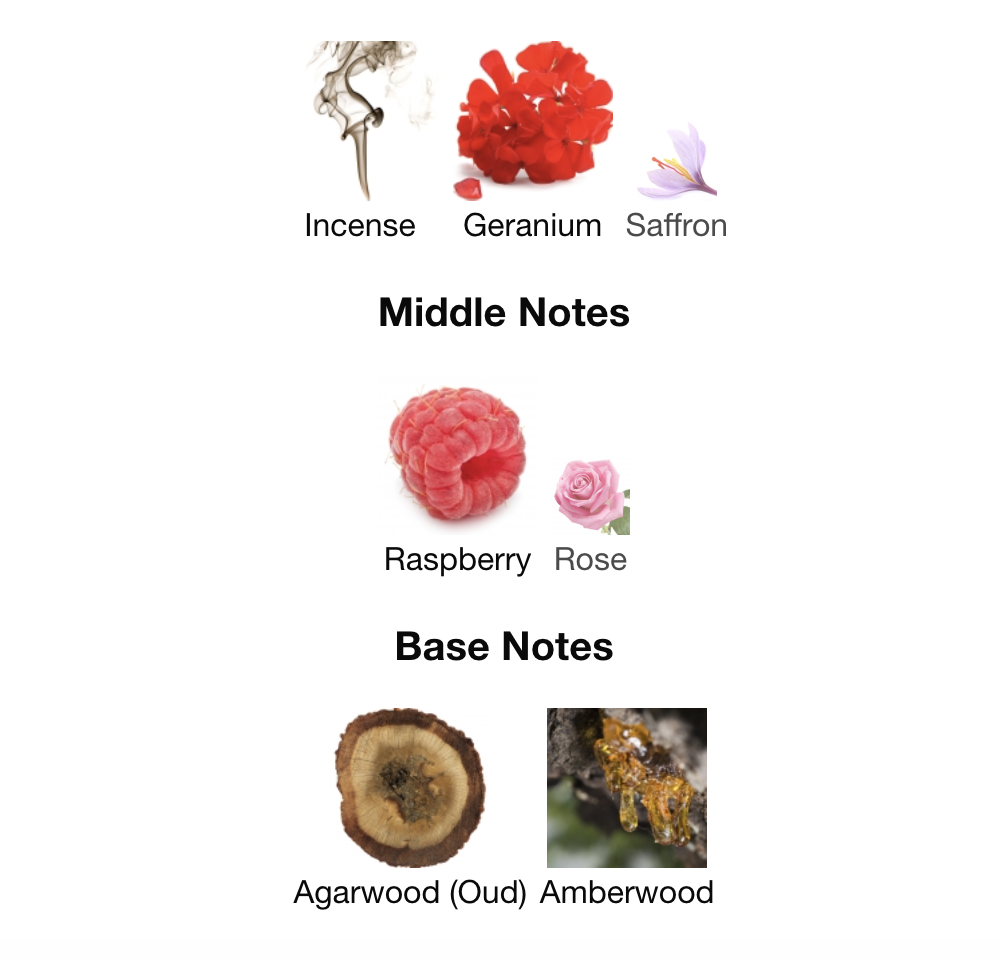 Night Shadow EDP 100 ml