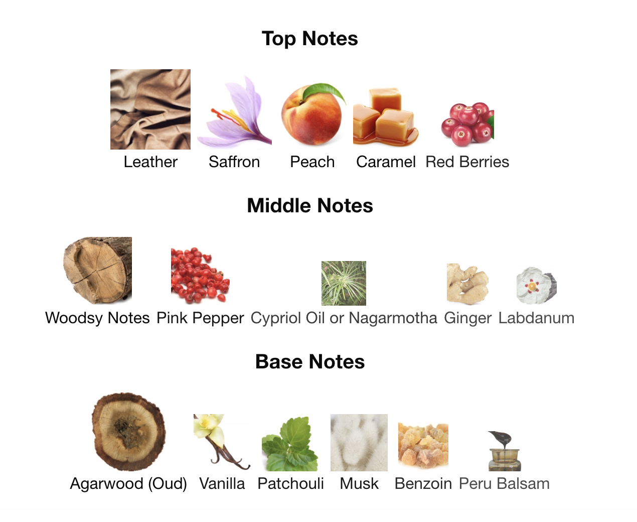 Special Oud EDP 100 ml