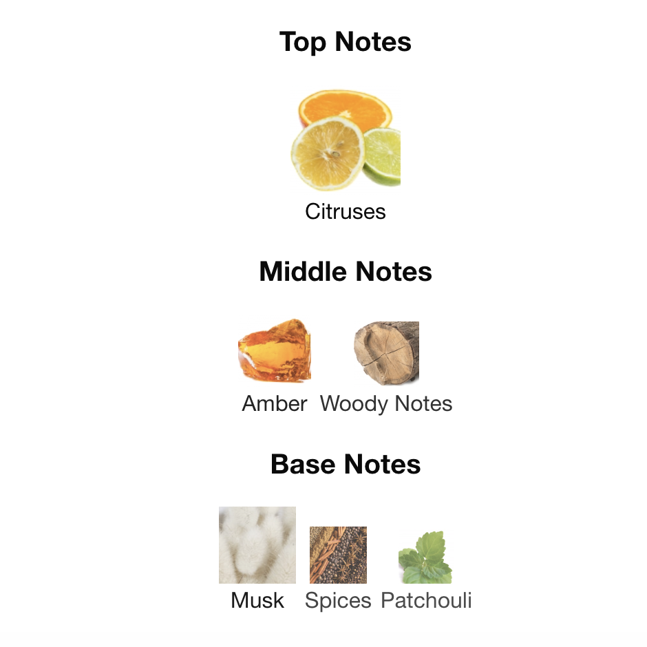 Théorème Homme EDP 90 ml